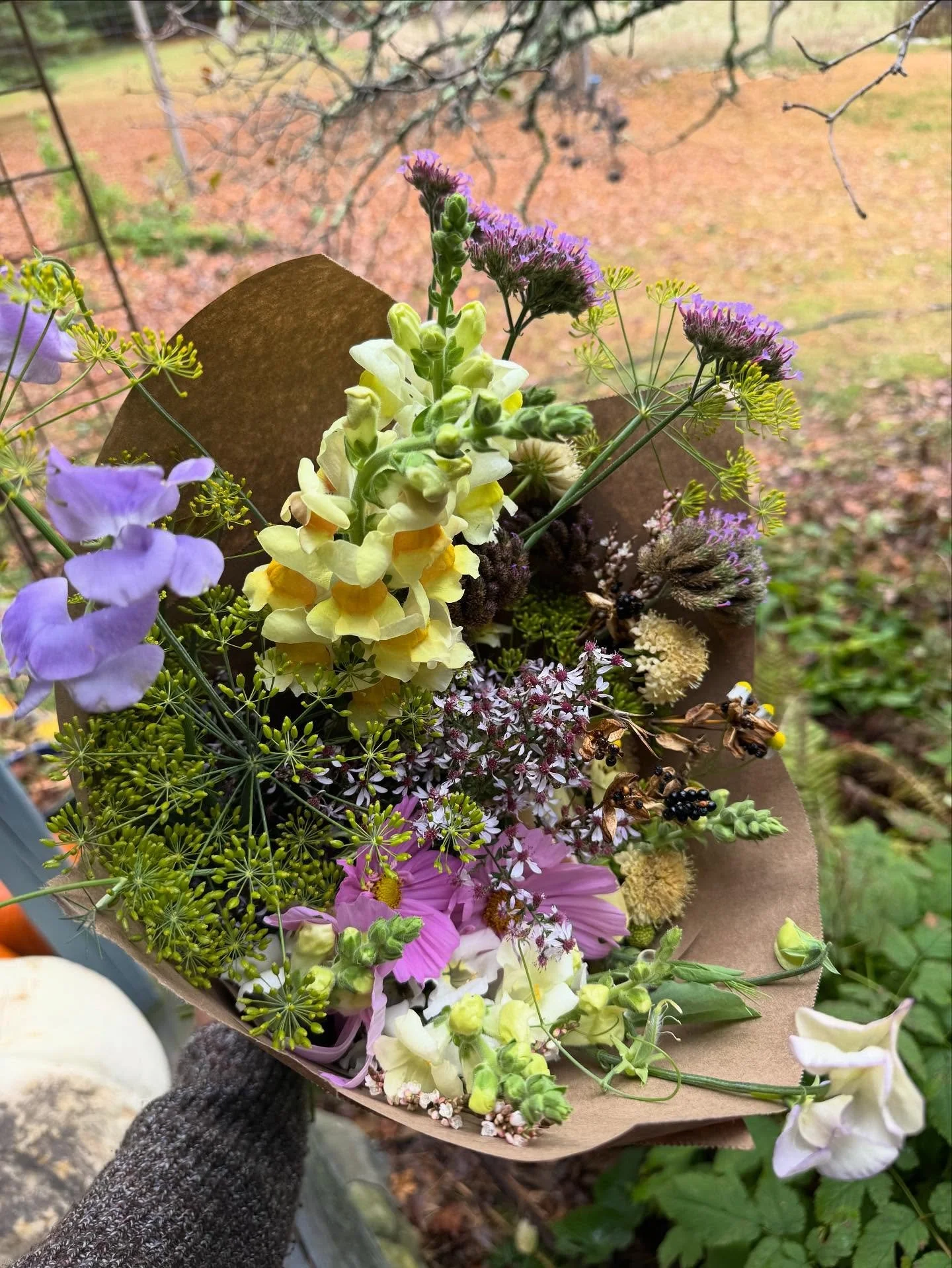 Last bouquet of the season! Sweet peas, snapdragons, dill and some groovy blackberry lily seed pods. For my friend @aaronburrcider who saved me when I ran out of gas! π