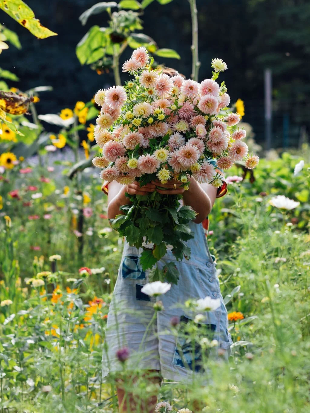 Come to Little Pebble, dip into nature and learn about flower growing! We&rsquo;re looking for volunteers or part time help (just 8-10 hours a week). Relaxed atmosphere and lots of flowers to take home and play with. DM or email littlepebblefarm@gmai