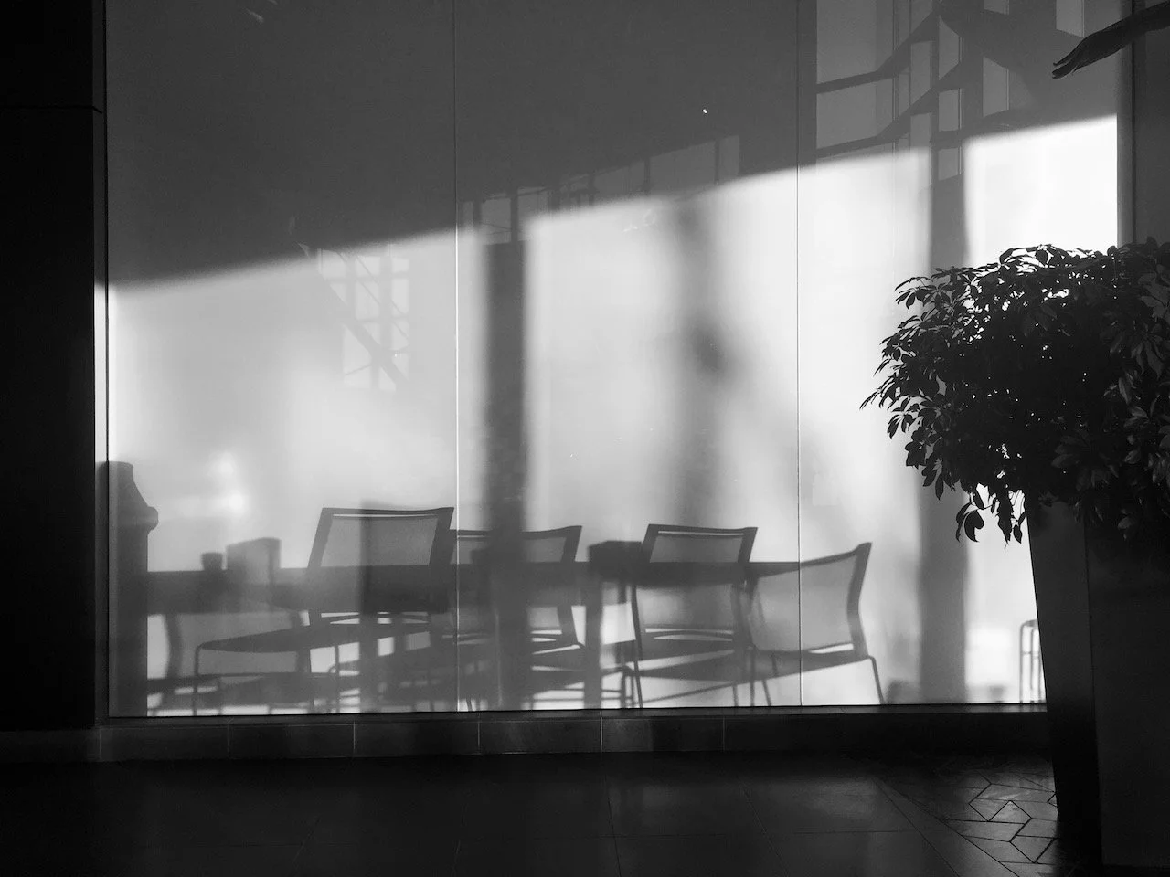 Charm offensive 13.jpeg