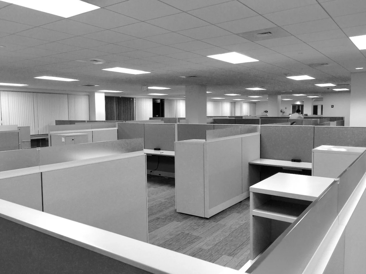 Charm offensive 3.jpeg