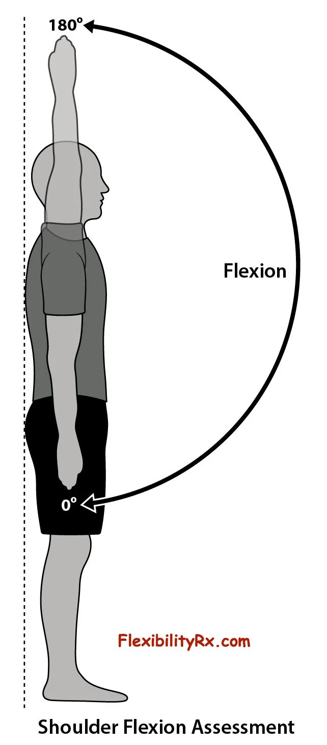 Top 3 Ways to Build Bulletproof Shoulders — REV Health and Wellness