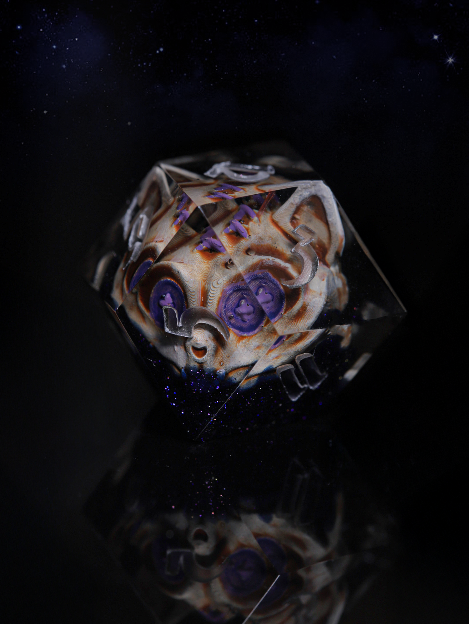 Layer 6.png