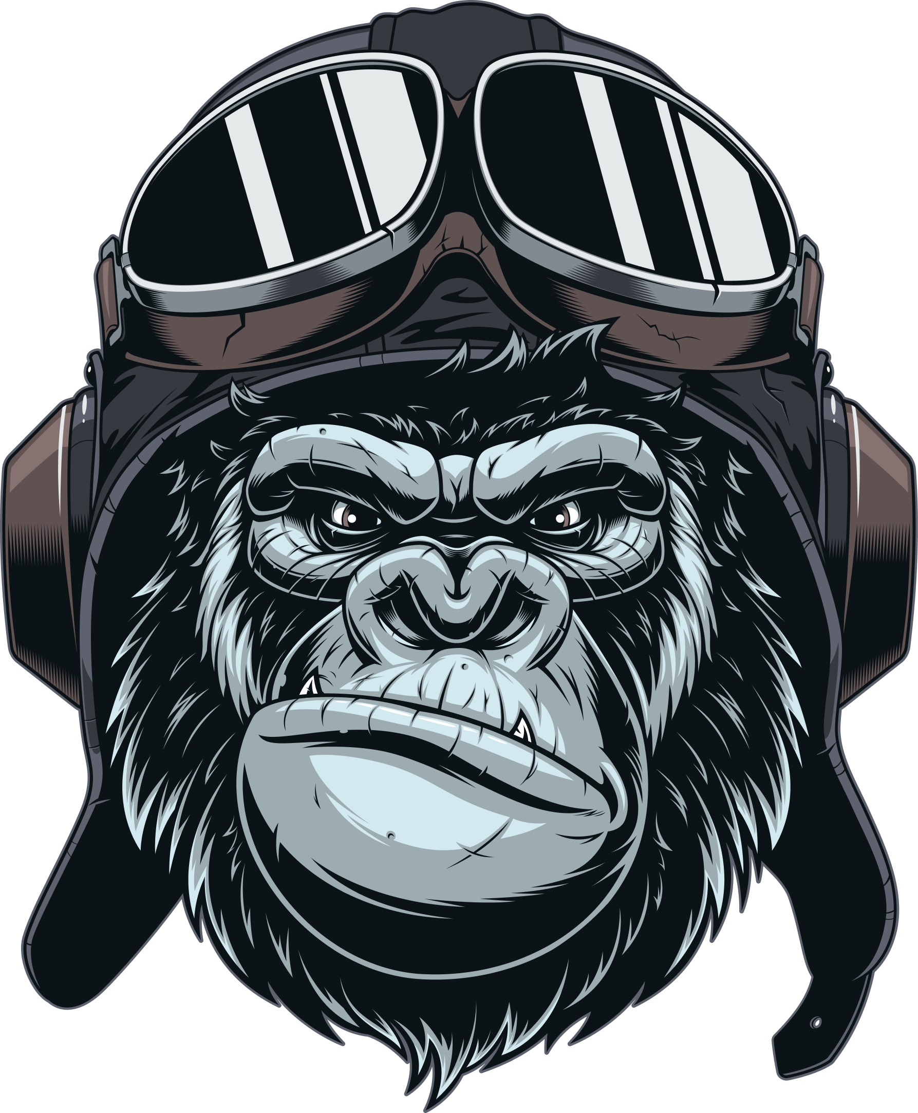 apeface.png