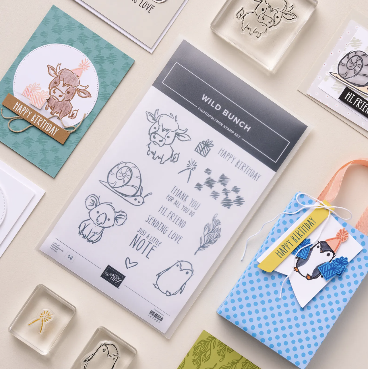 June Product of the Month: Wild Bunch Stamp Set