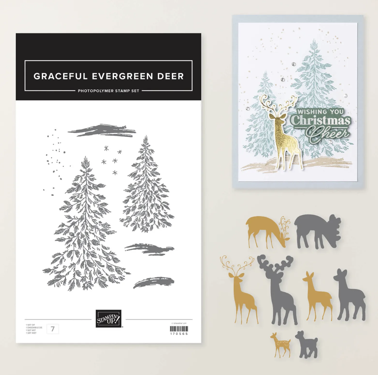 GRACEFUL EVERGREEN BUNDLE
