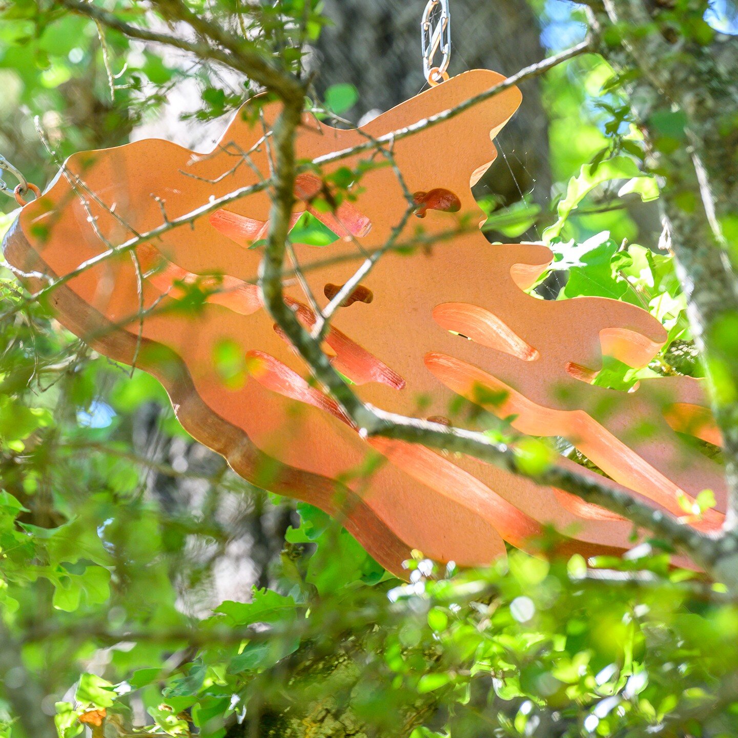 Post 22: &ldquo;The Seeds We Plant&rdquo;
One of 70 sculptural paintings created for and installed at the Lady Bird Johnson Wildflower Center from October 2022 through April 2023. The art experience changed with the shifting light and seasons. 

This