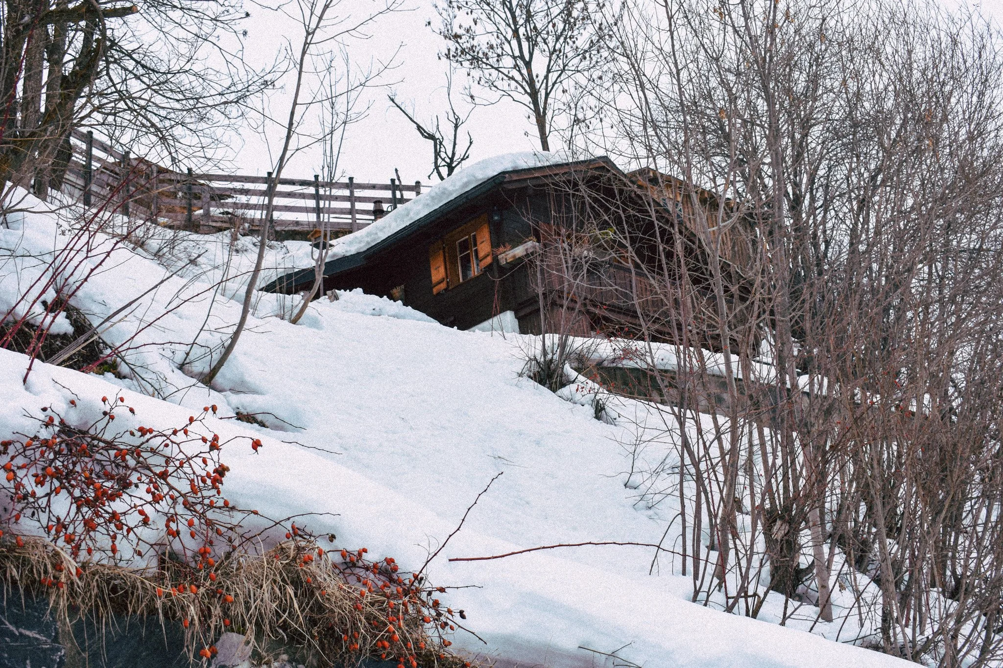 Chalet
Switzerland