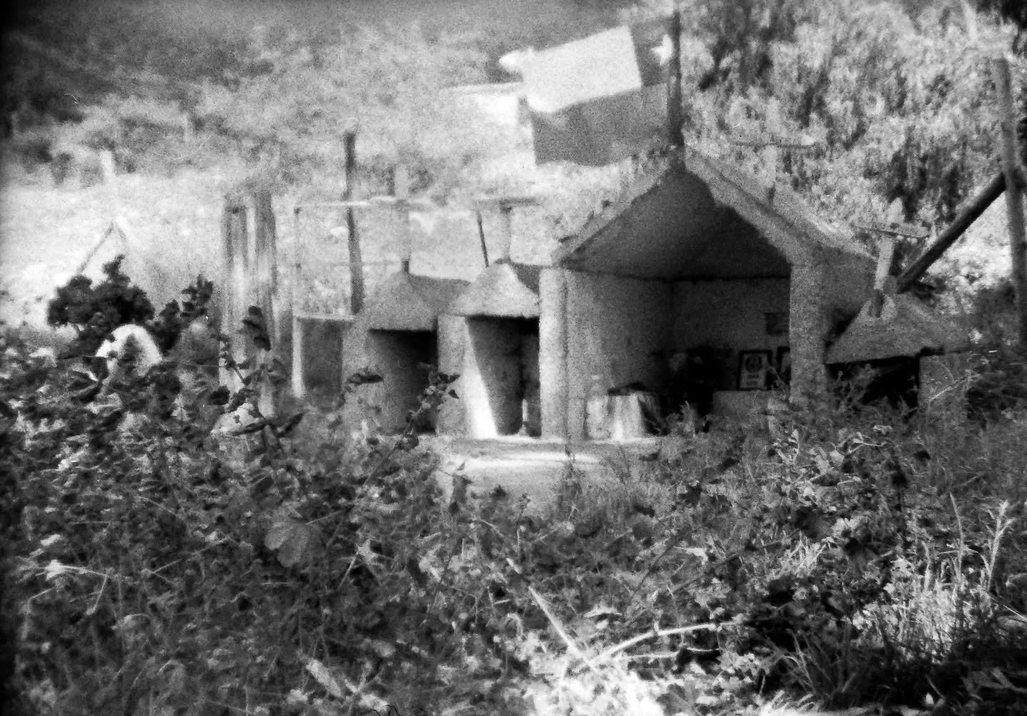 📸✨️M&oacute;dulo de Fotograf&iacute;a An&aacute;loga y Revelado B/N 

Cerramos un proceso lleno de exploraci&oacute;n y aprendizaje junto al artista y docente @oskarhuertafoto , donde nos conectamos con la c&aacute;mara an&aacute;loga y los procesos