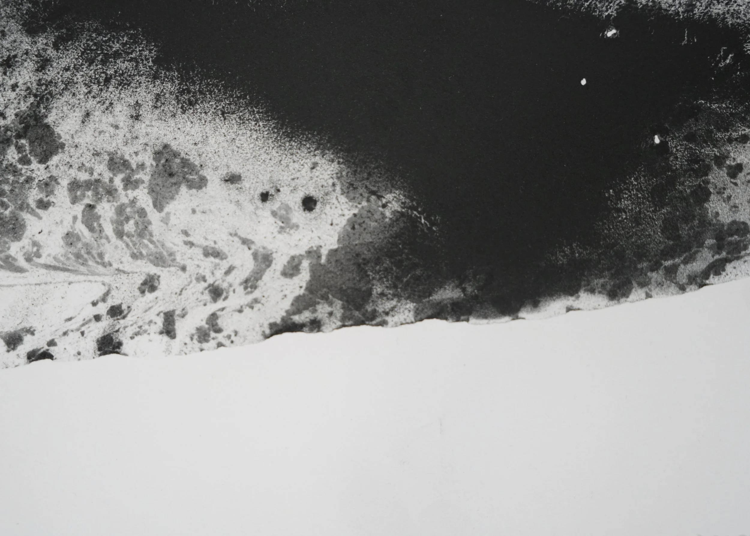 2026_Abstractions_Carbon:Industrial:Bone.jpg