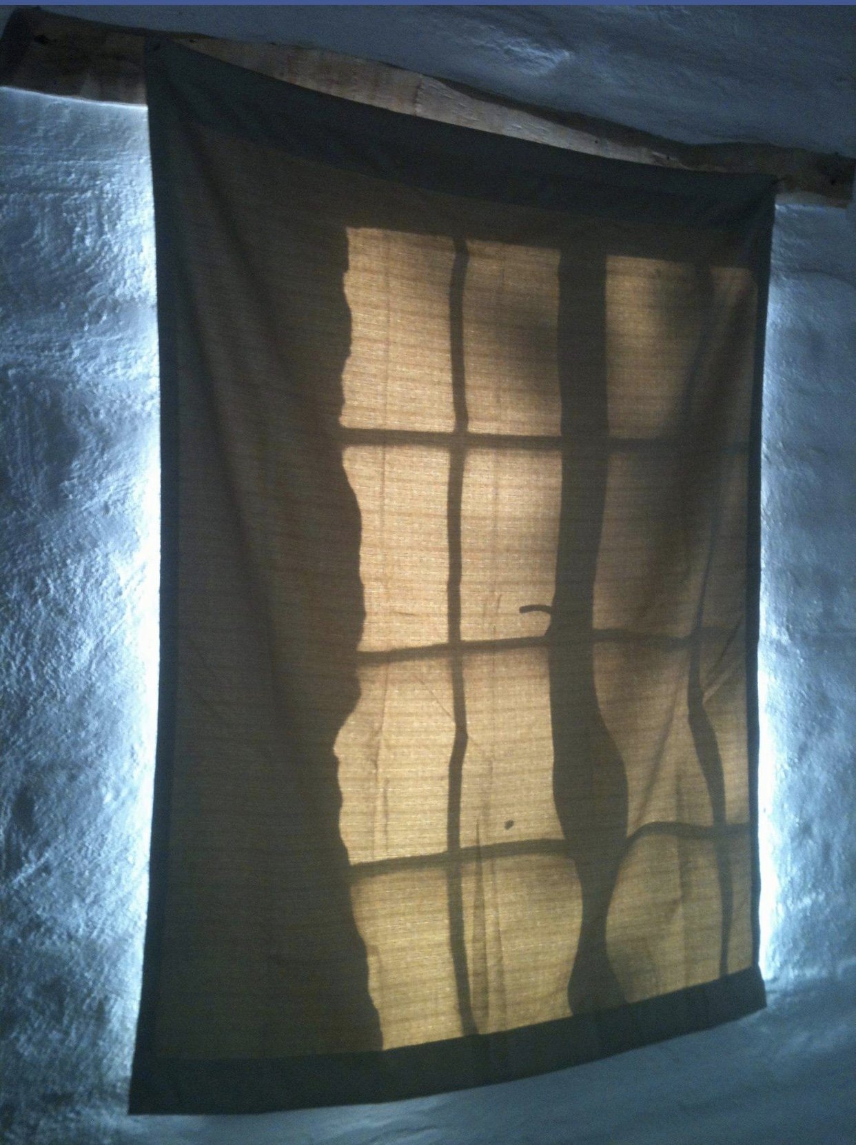 IMG_0910.jpeg