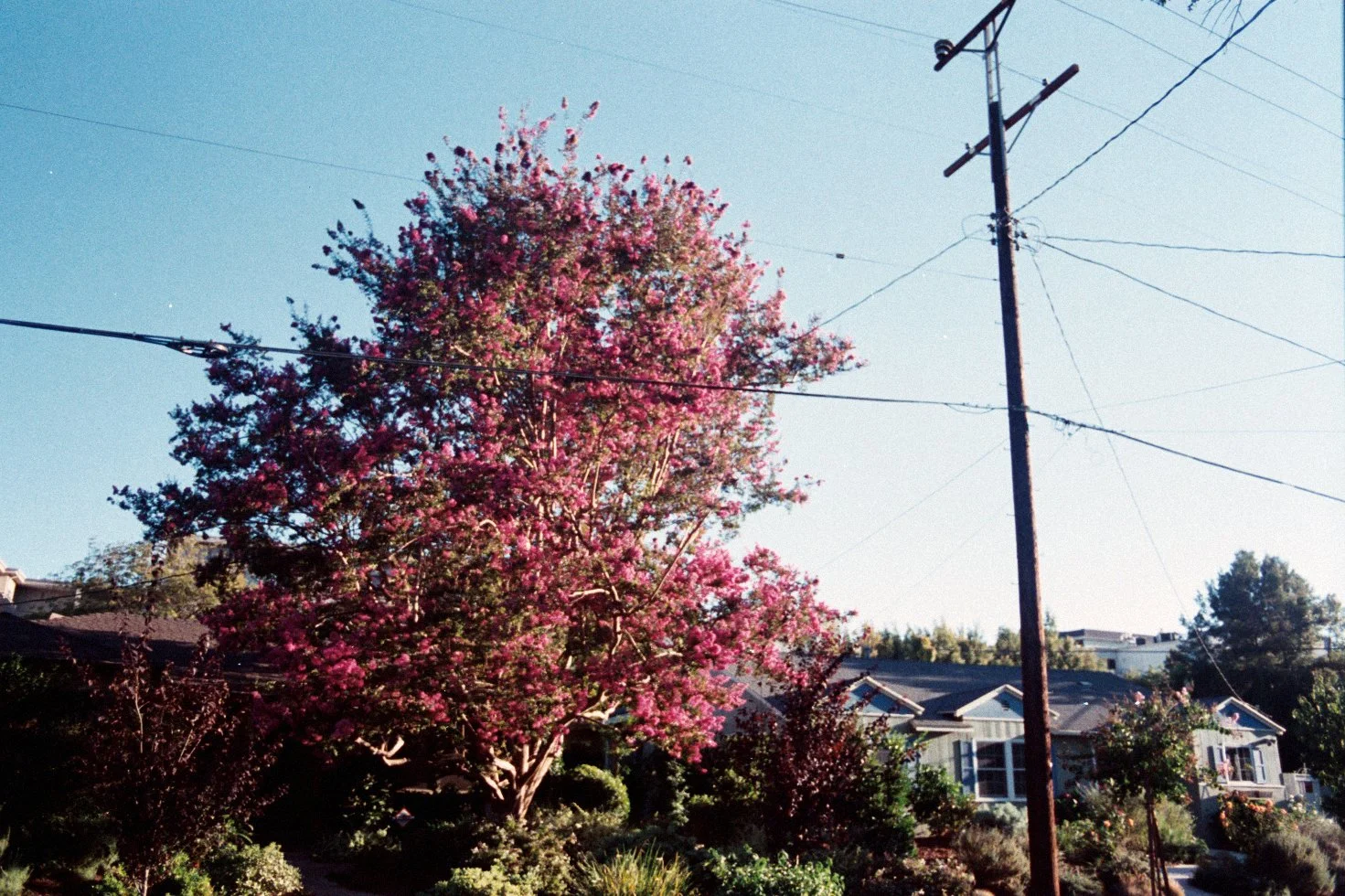 AAA001.jpg