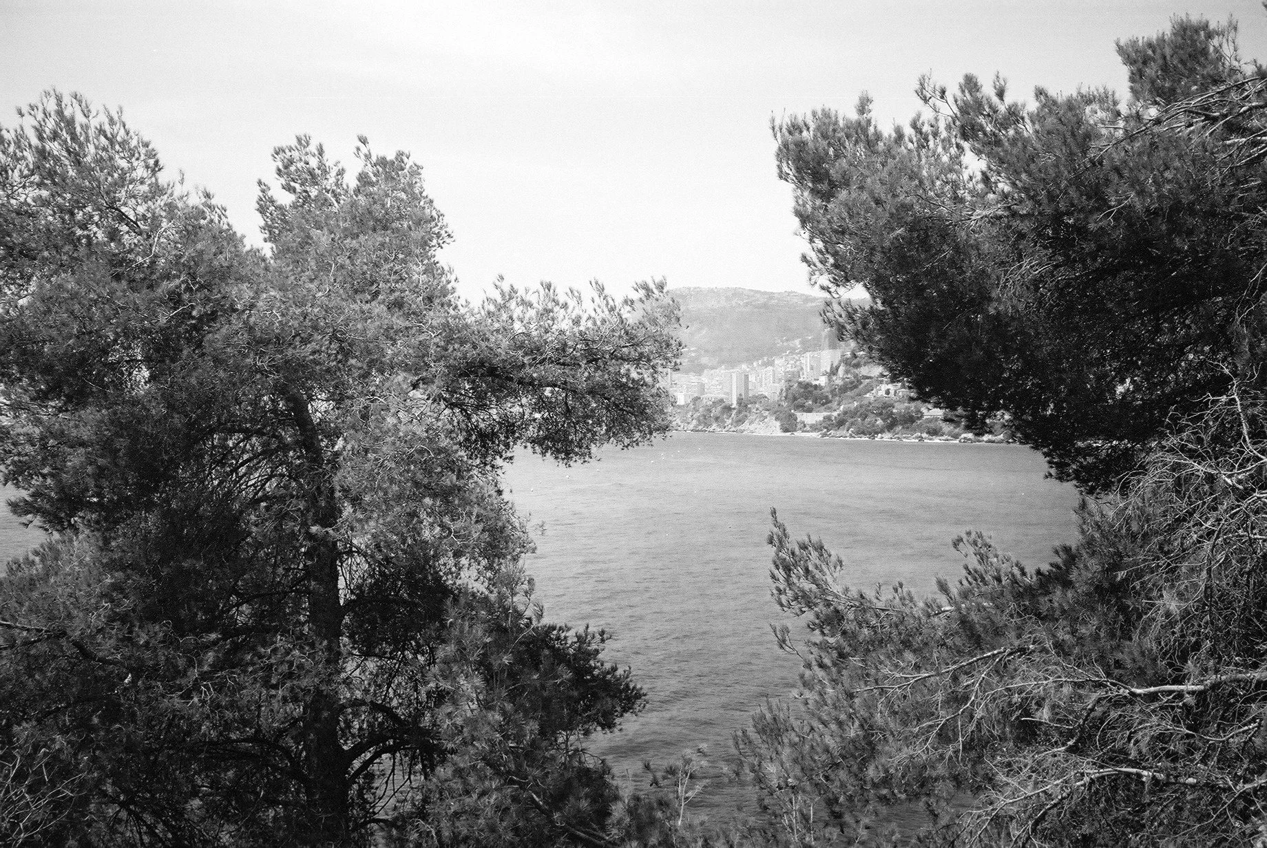 Roquebrune-Cap-Martin.JPG