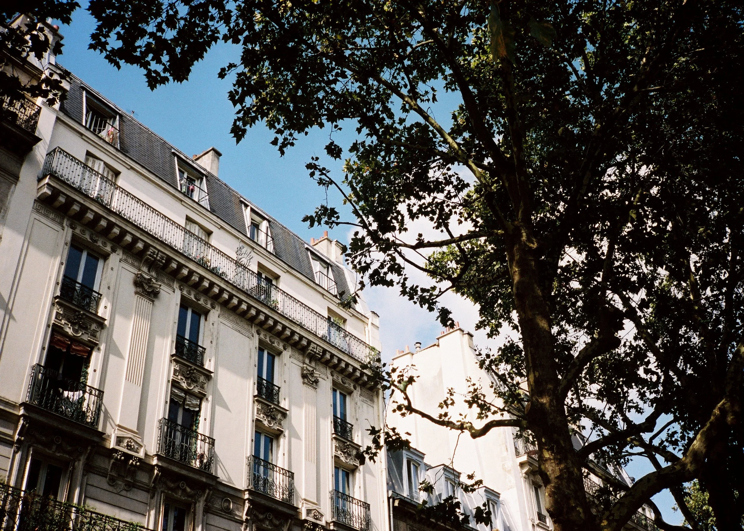 Paris 3.JPG