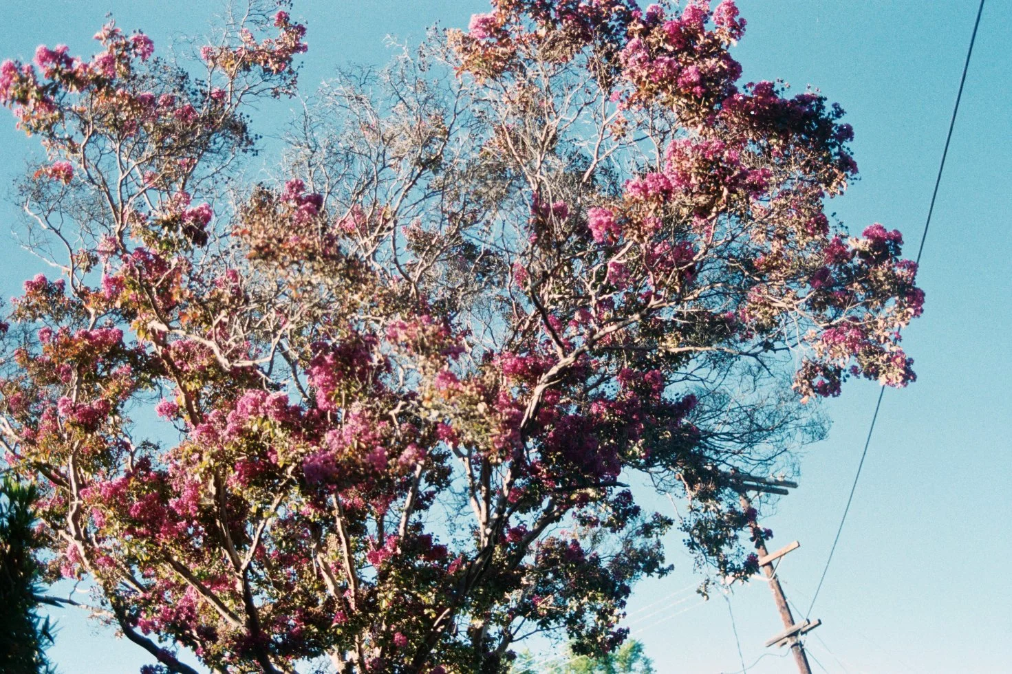 AAA004.jpg