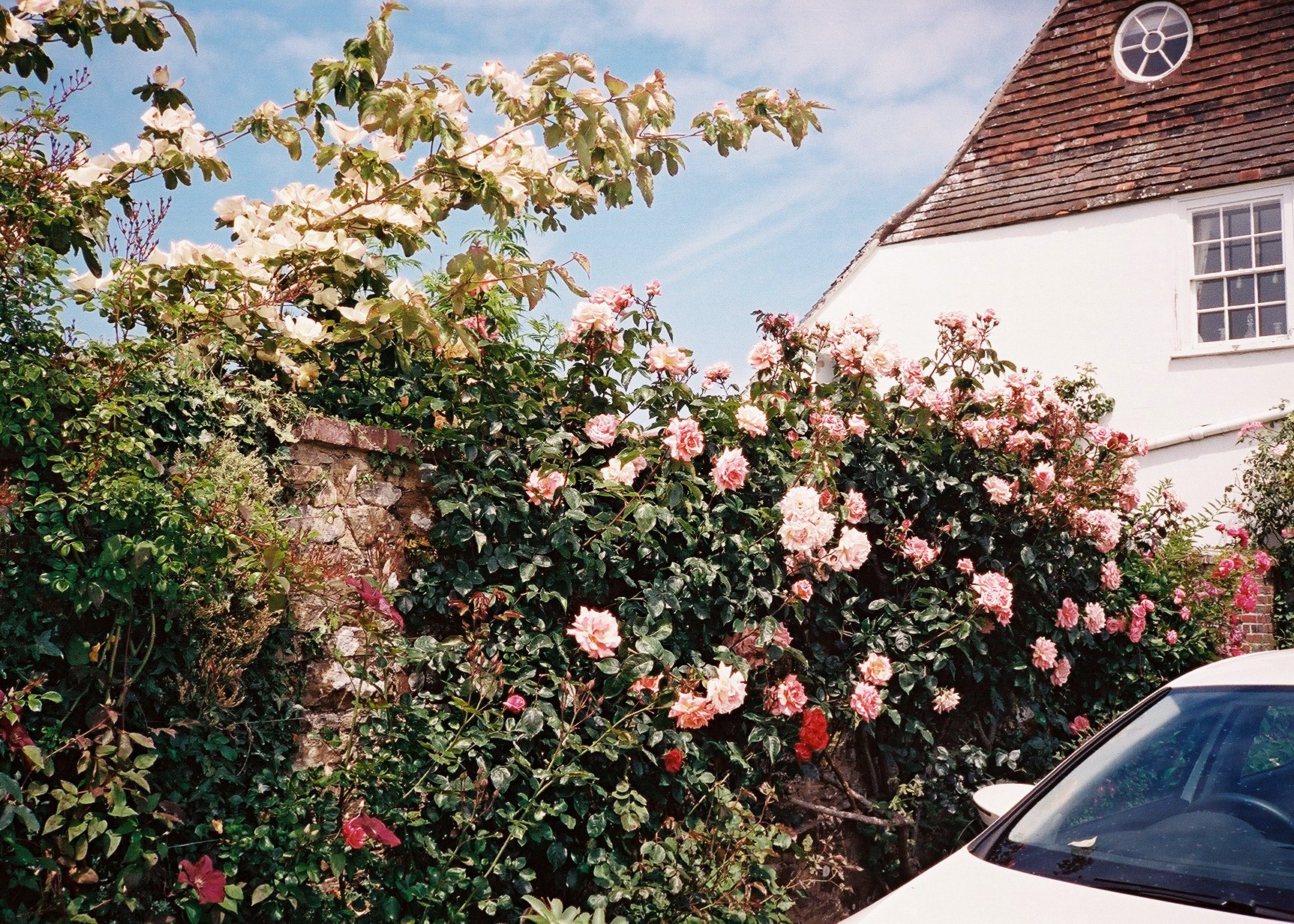 Sussex 2.JPG