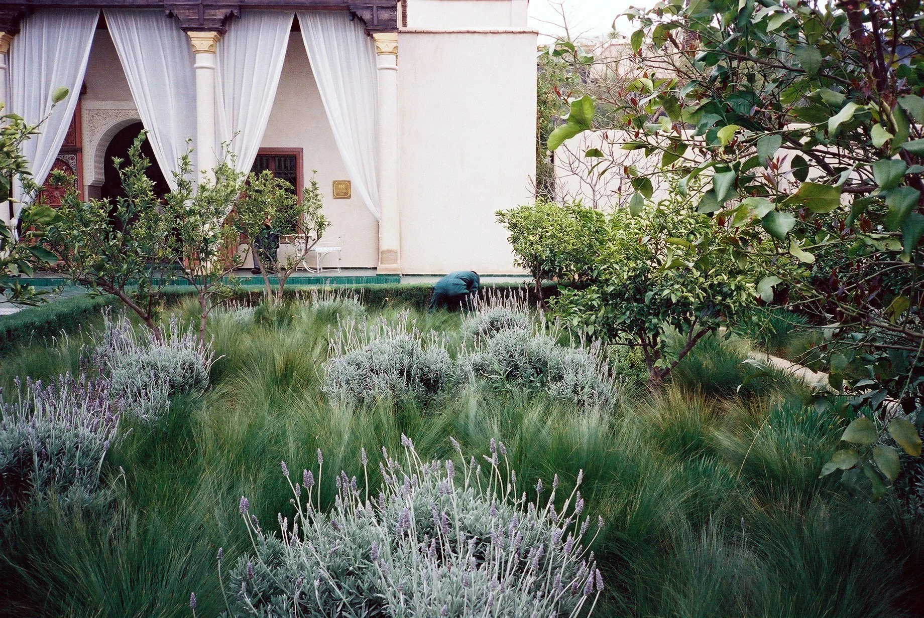 Marrakech 4.JPG