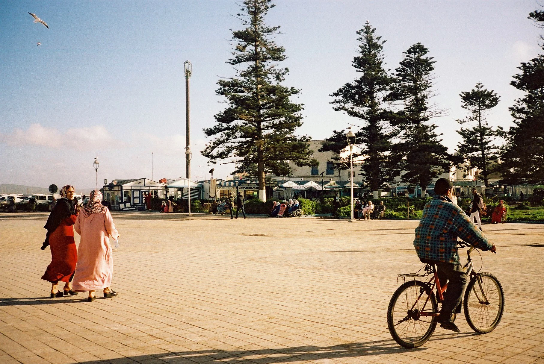Essaouira 12.JPG