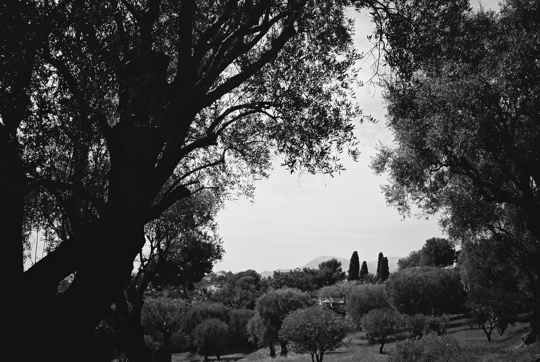 Cagnes-sur-Mer 6.JPG