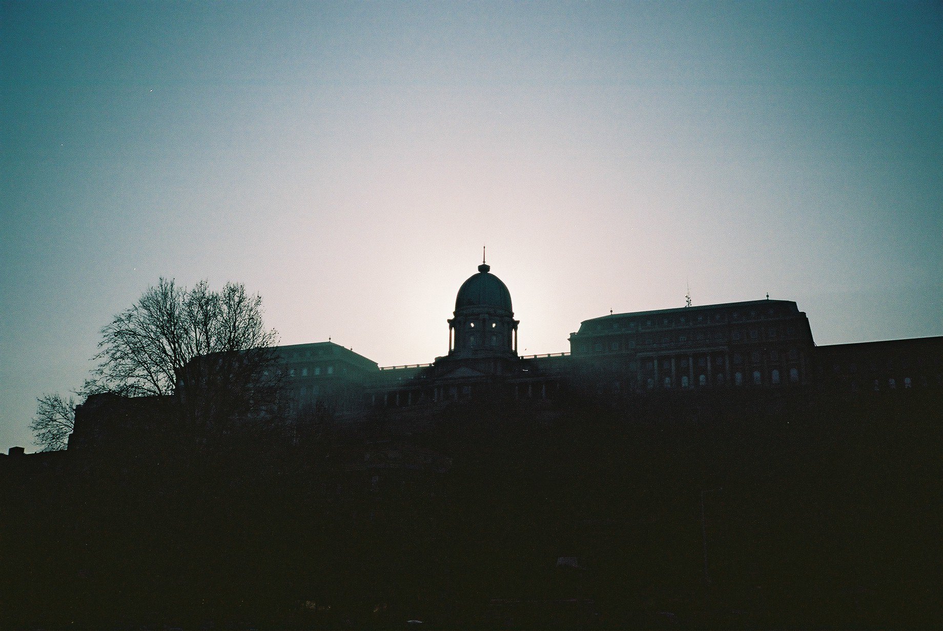 6.JPG
