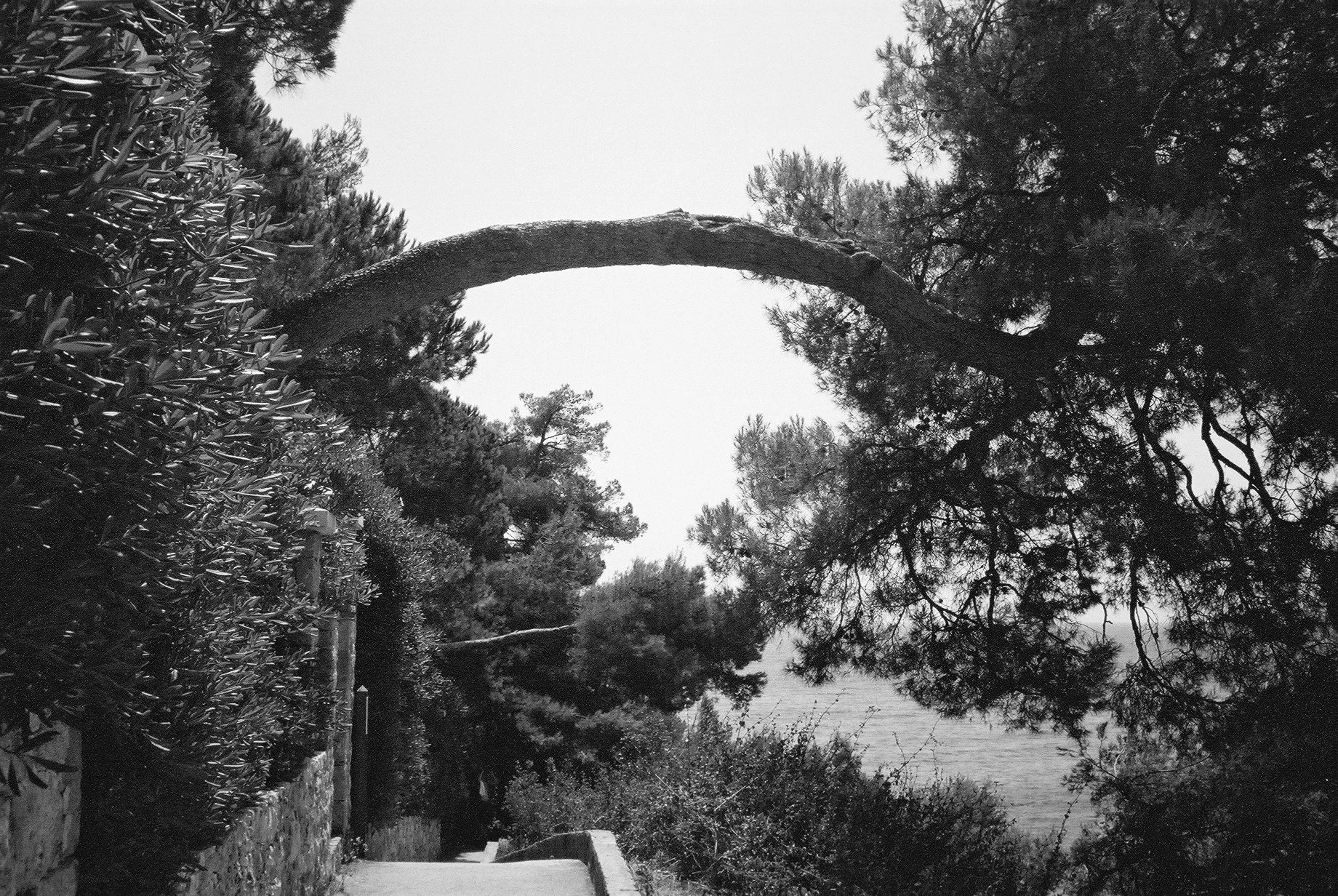 Roquebrune 2.JPG
