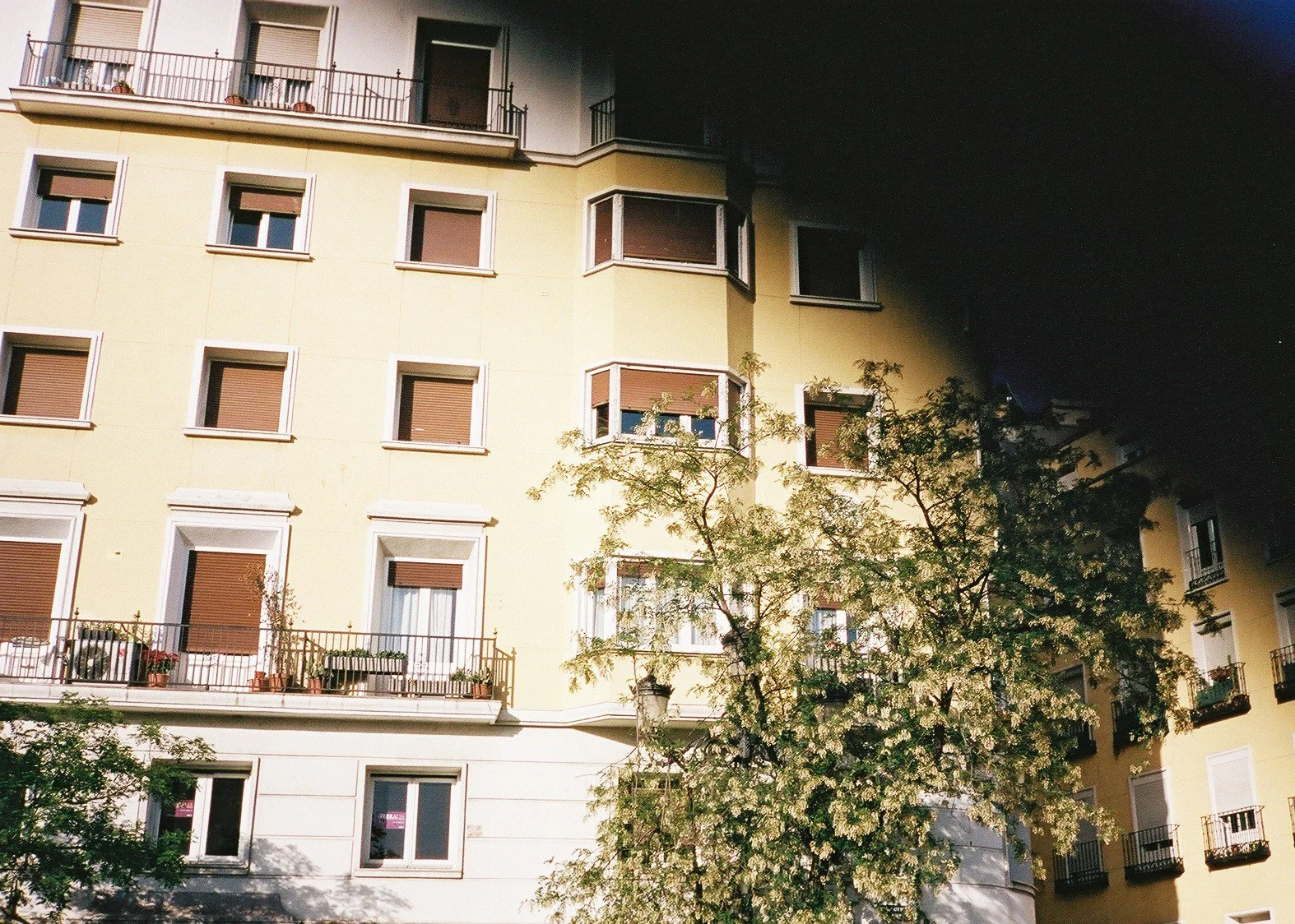 Madrid 4.JPG