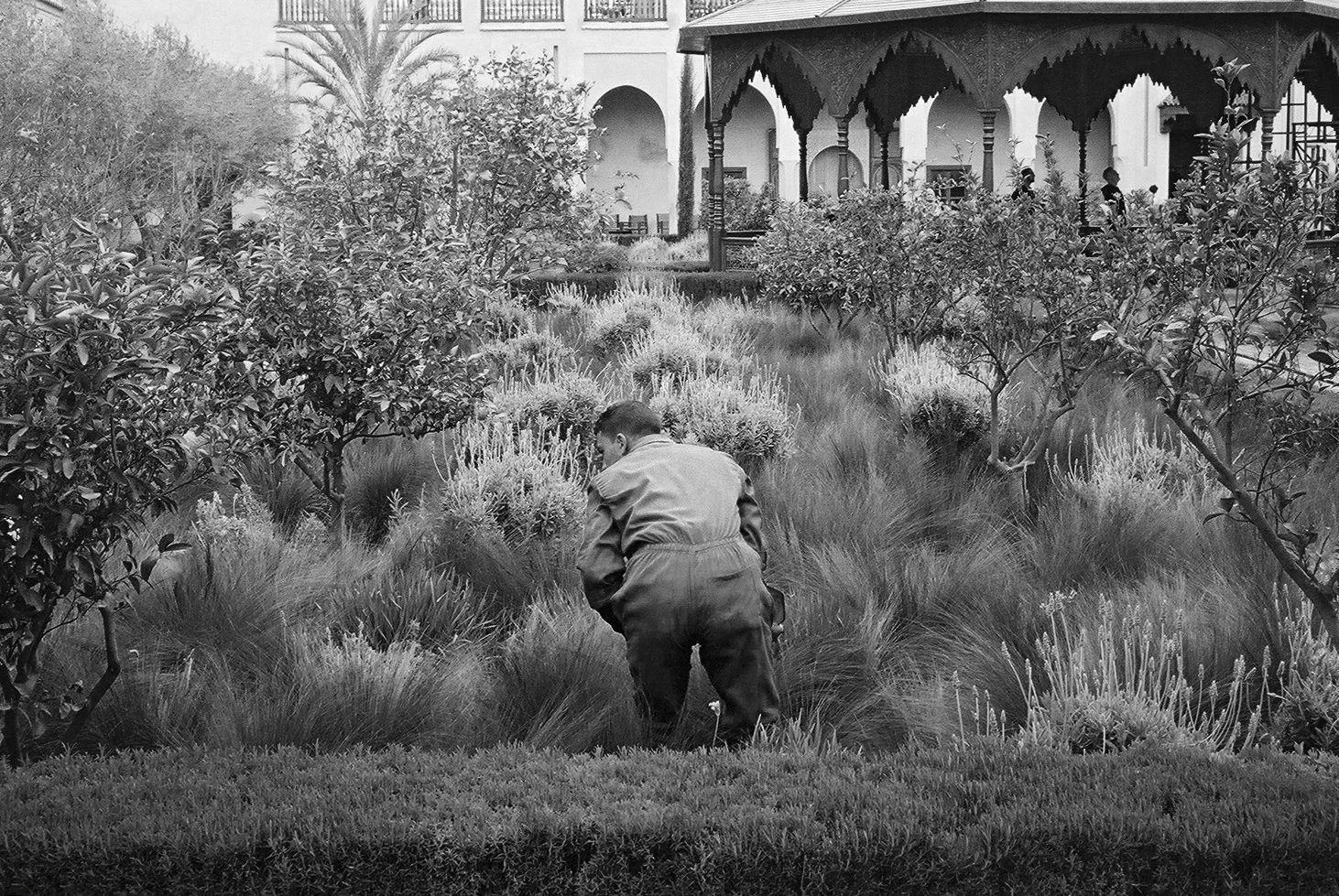 Marrakech 3.JPG