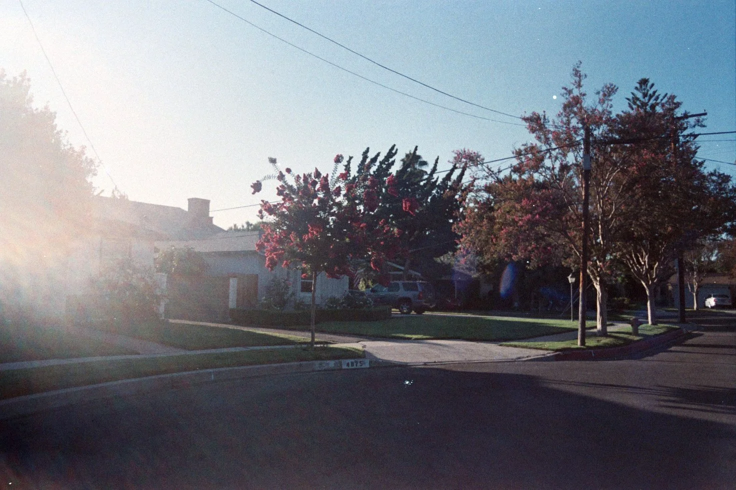 AAA002.jpg