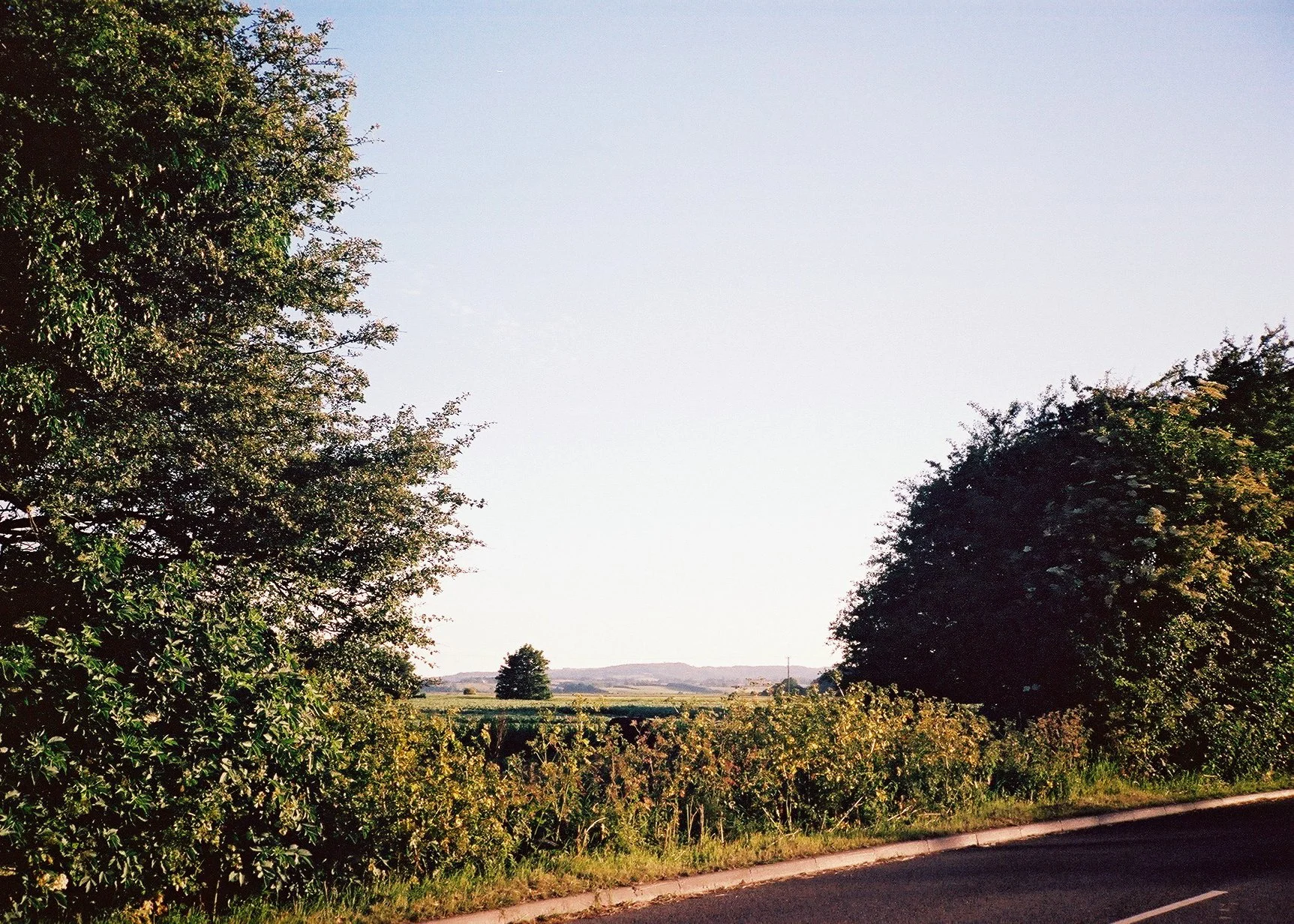 Sussex 3.JPG