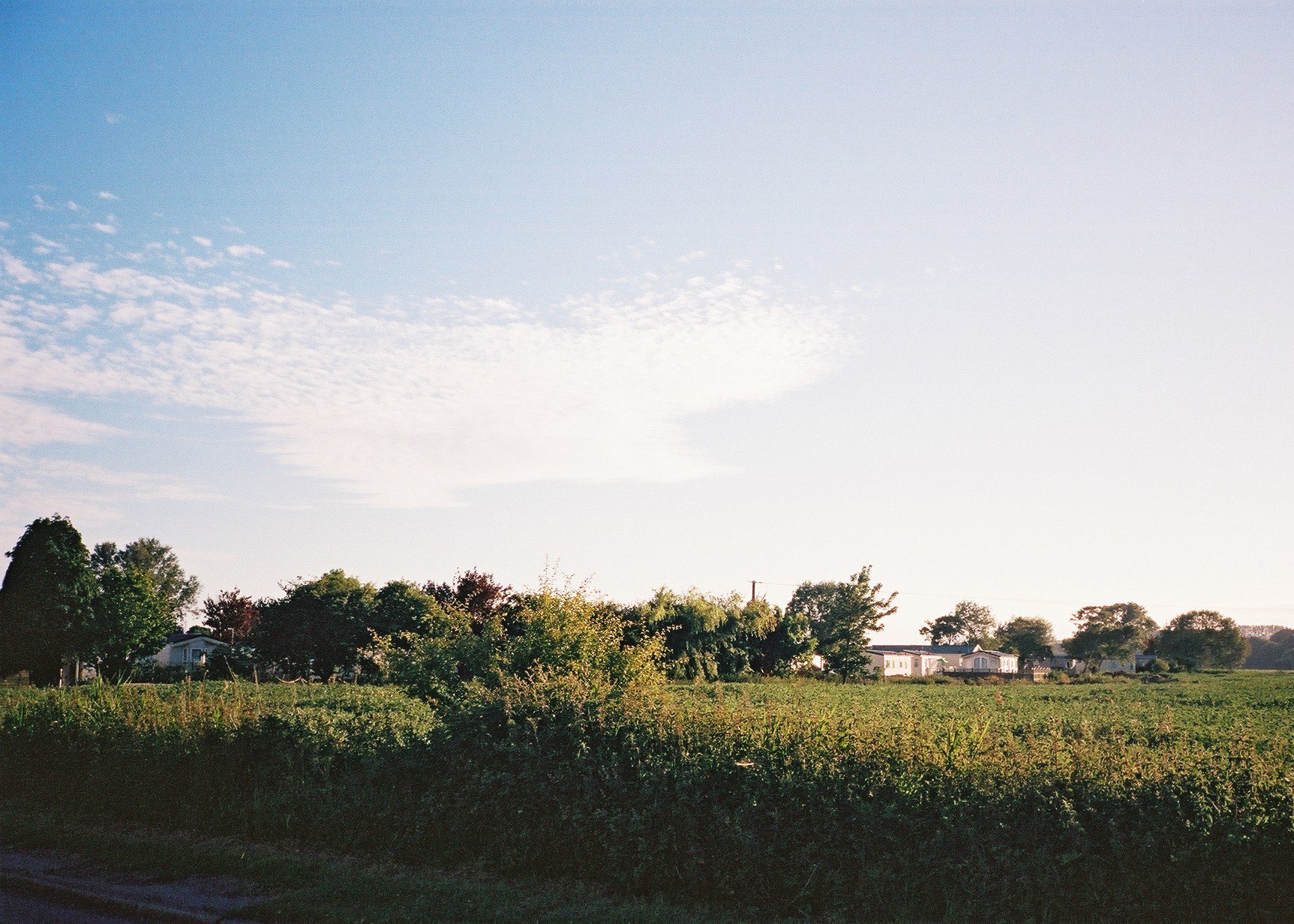 Sussex 6.JPG