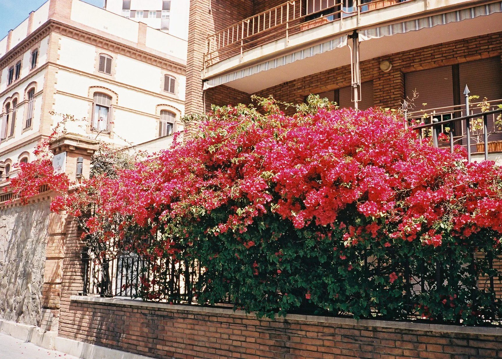 Barcelona 5.JPG