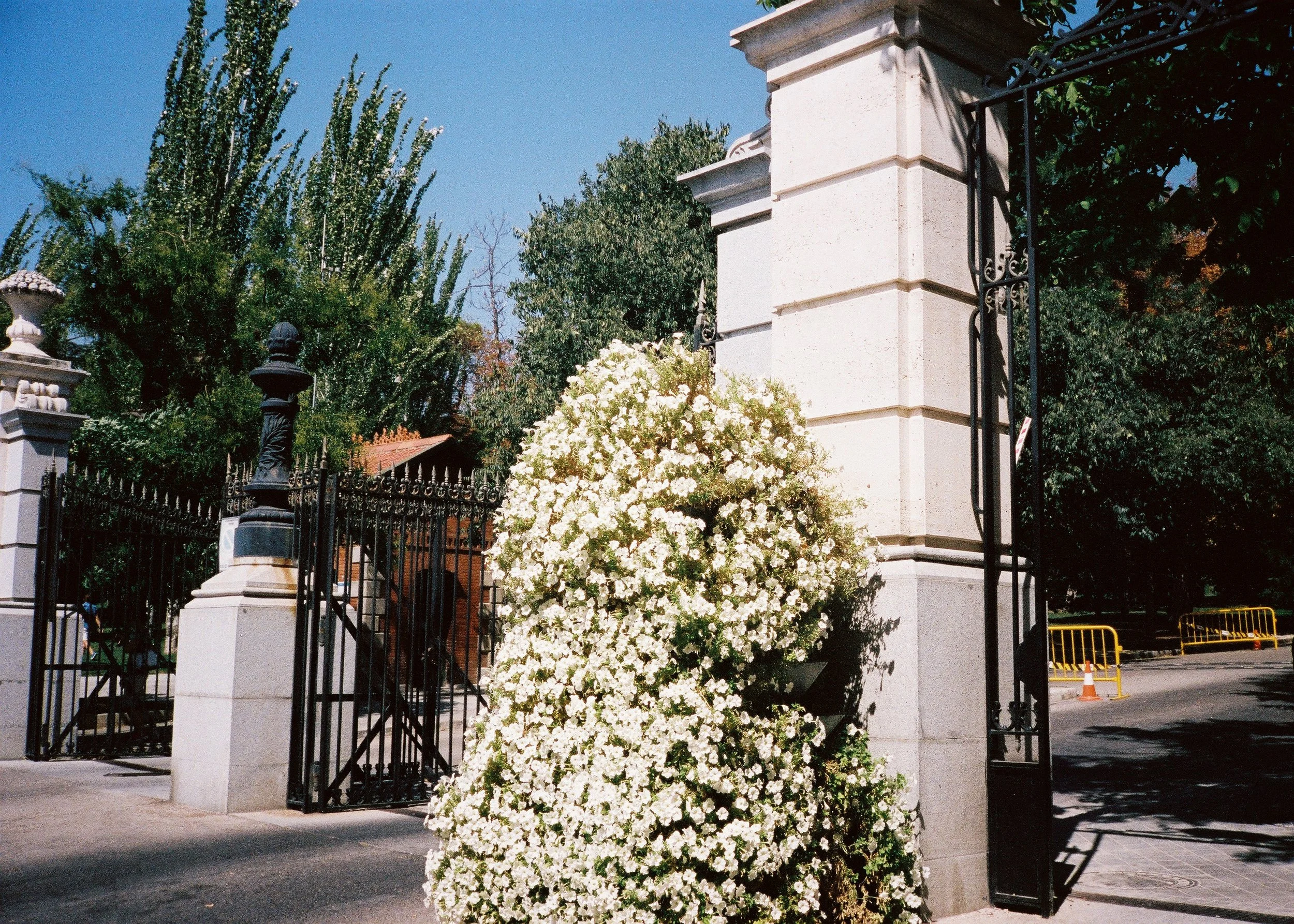 CNV00016.JPG