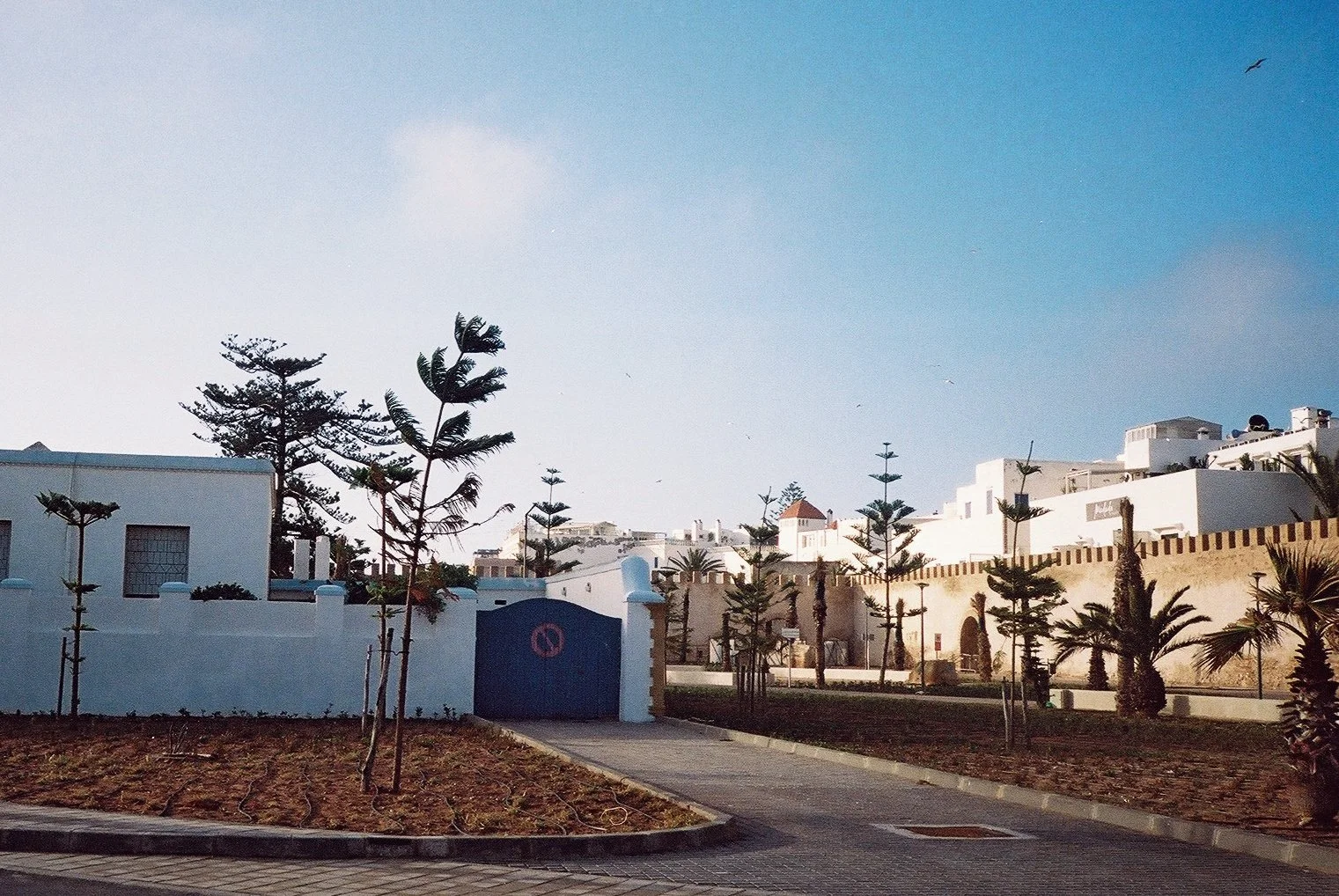 Essaouira 15.JPG