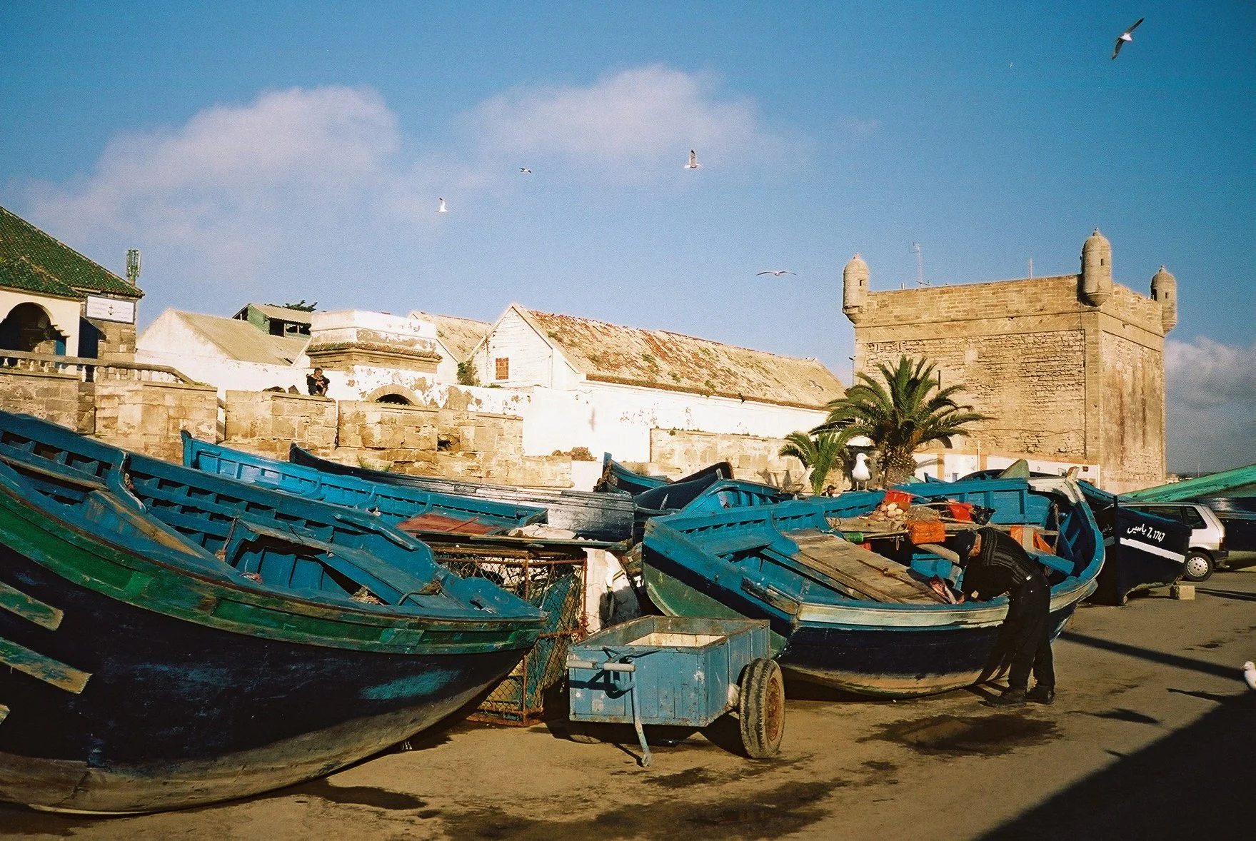 Essaouira 10.JPG
