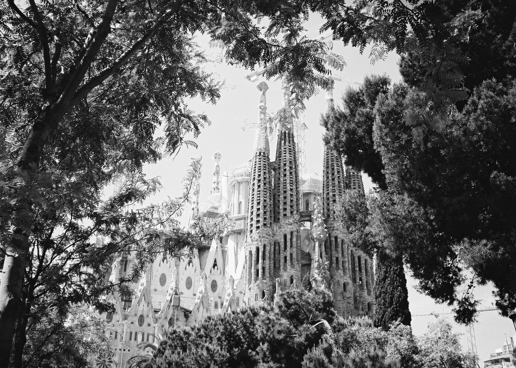 Barcelona 1.JPG