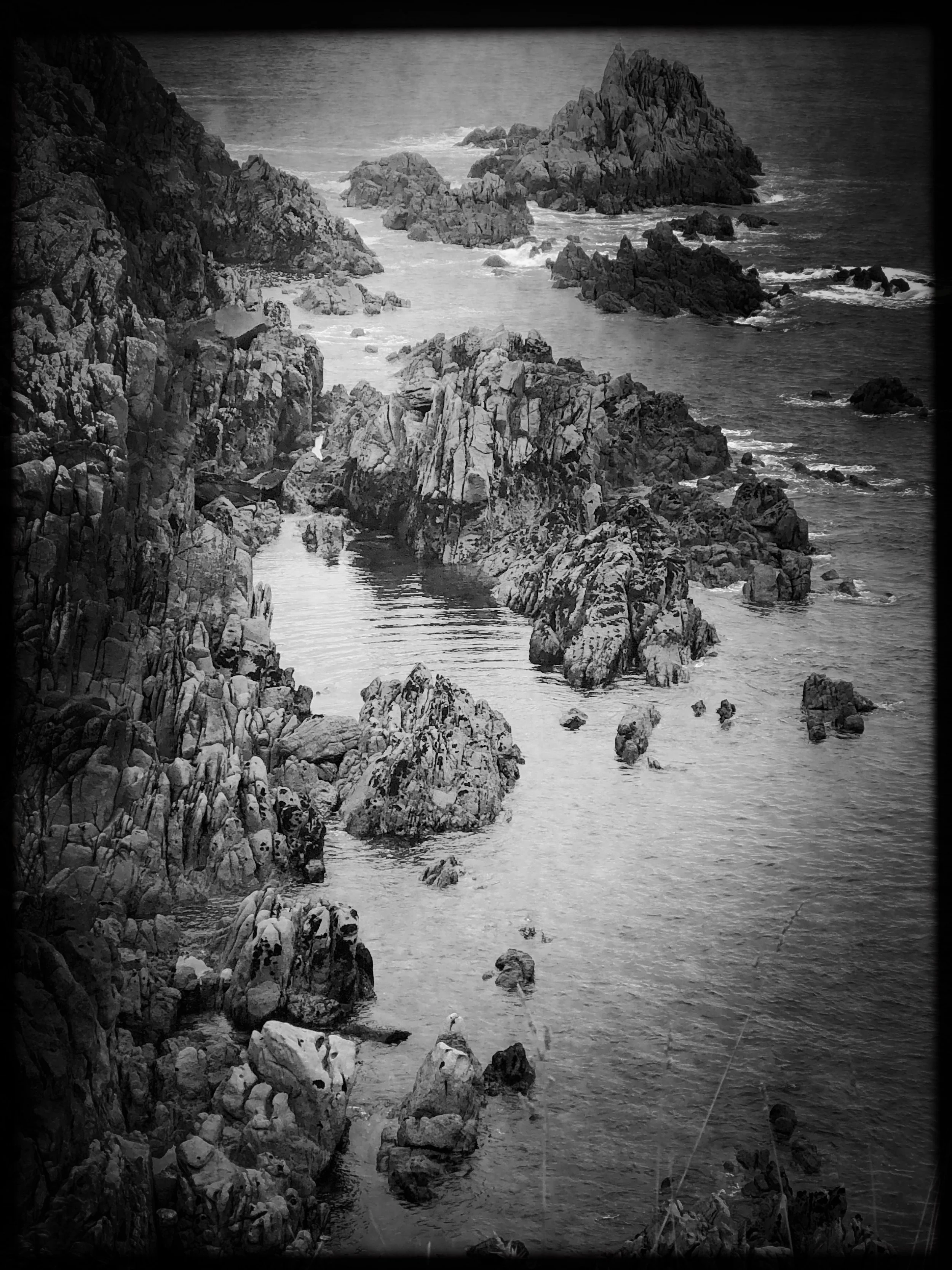 IMG_5626 (1).JPG
