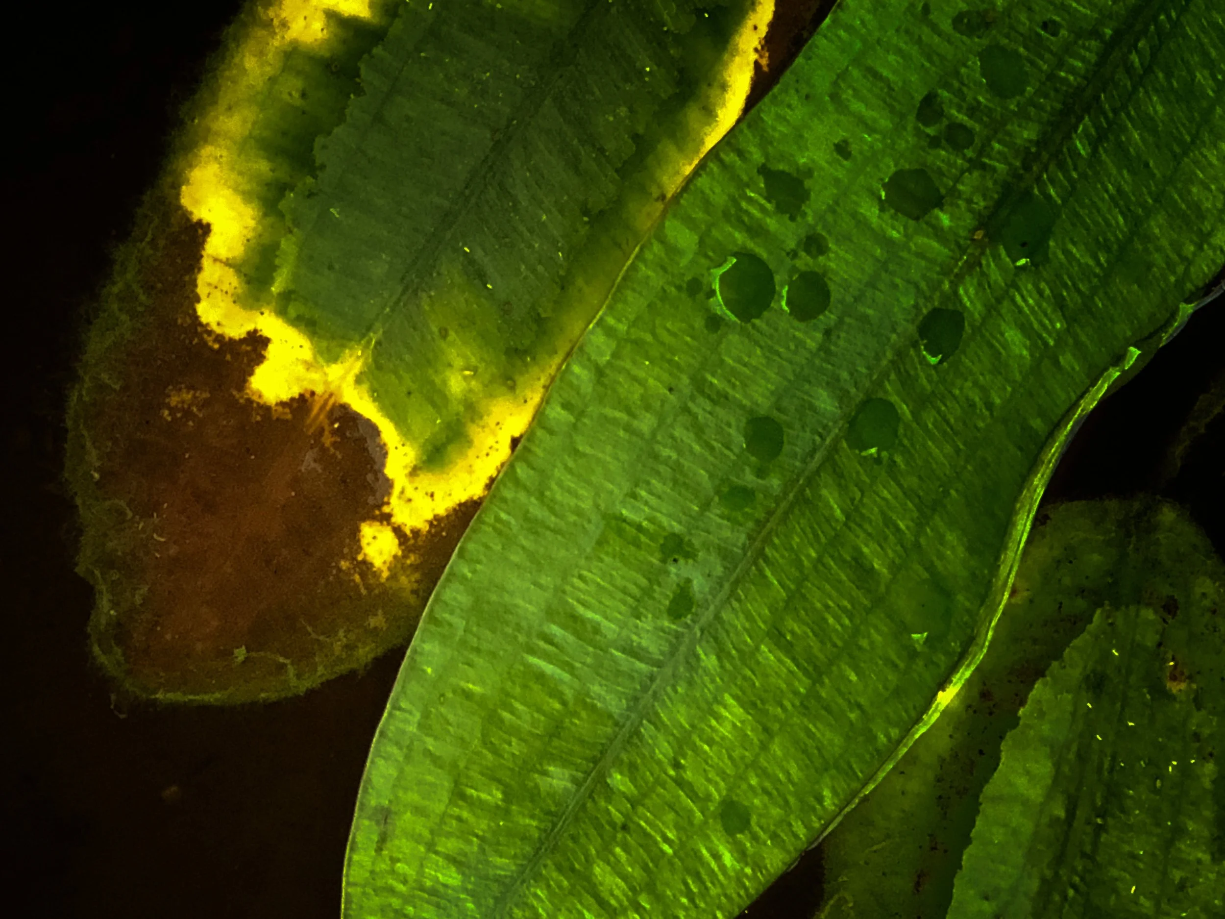 IMG_8194_polarr.JPEG