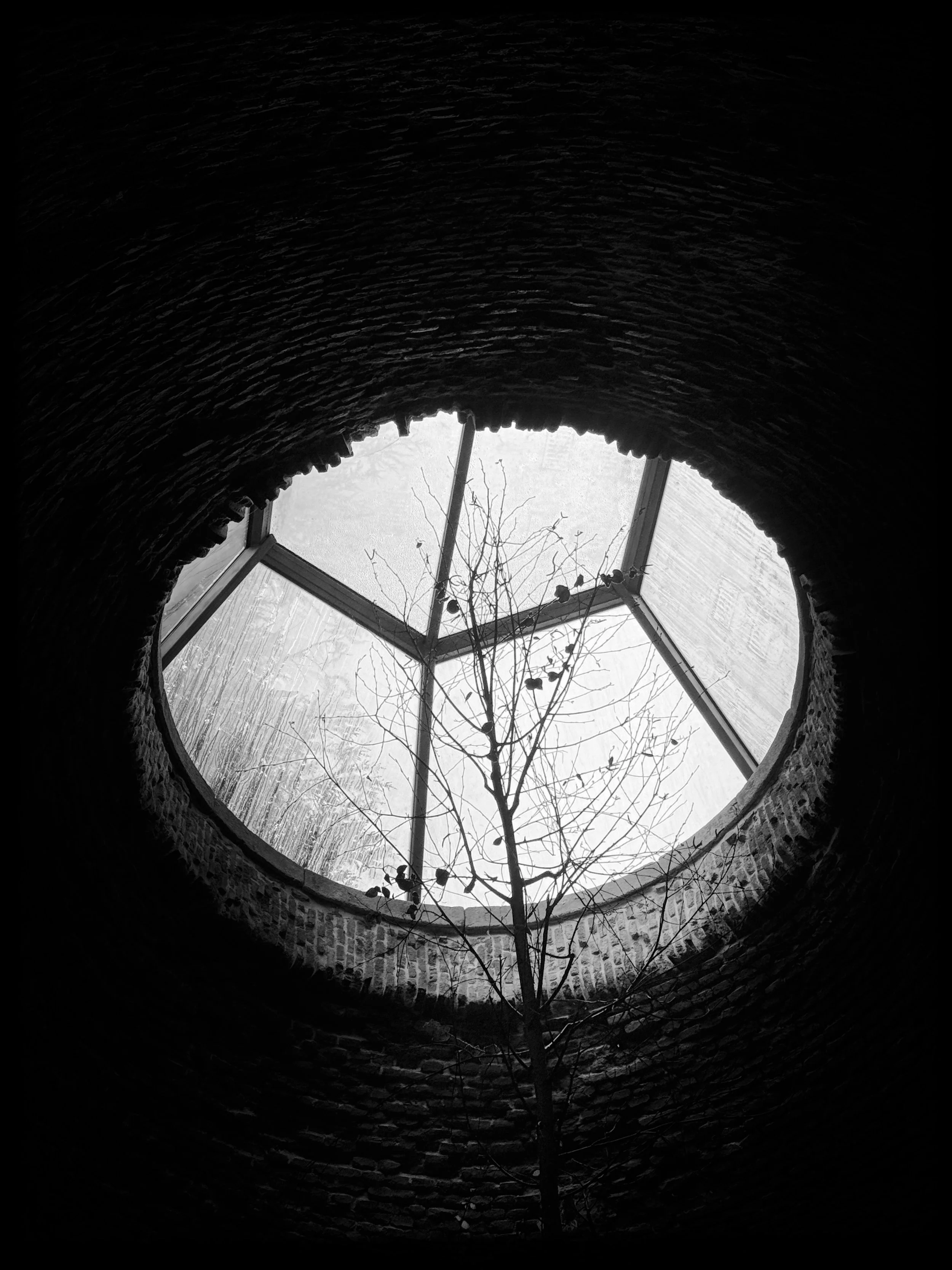 IMG_4622 (1).JPG