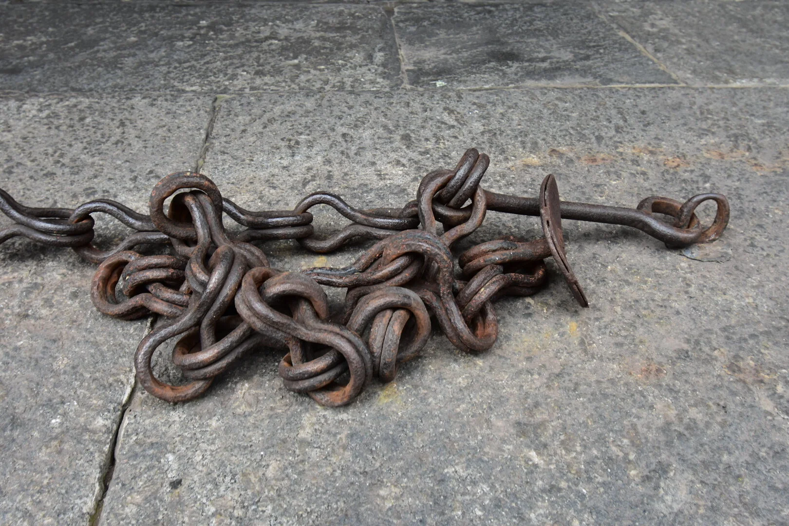 DSC_1304.JPG