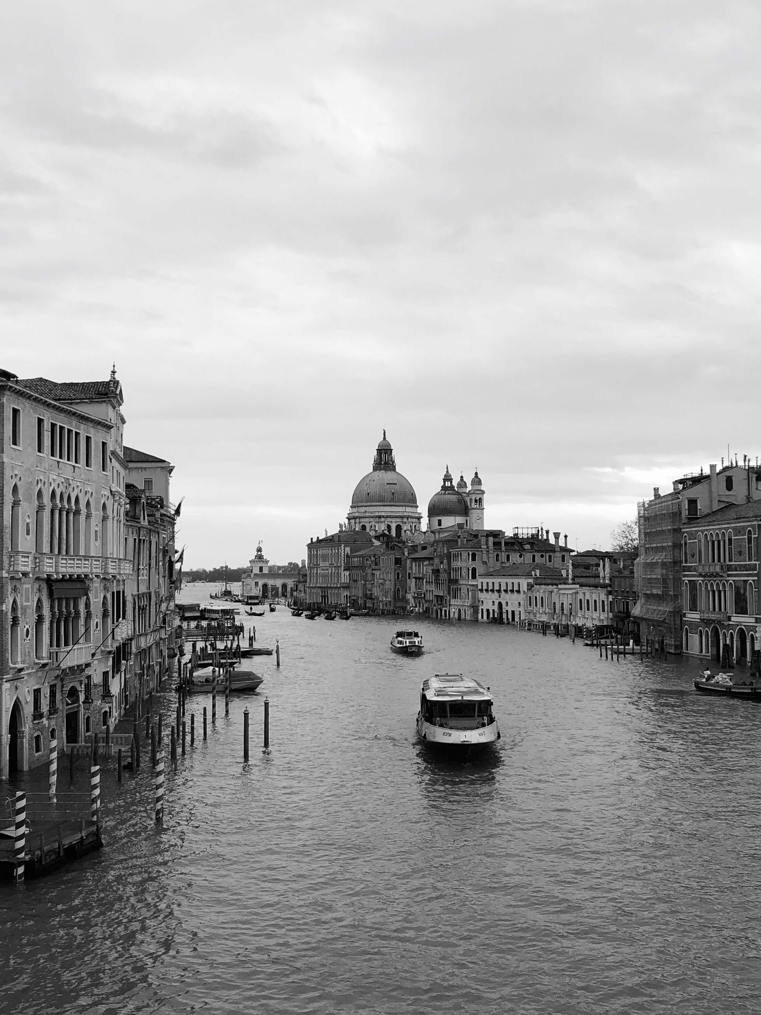 IMG_1423.JPG