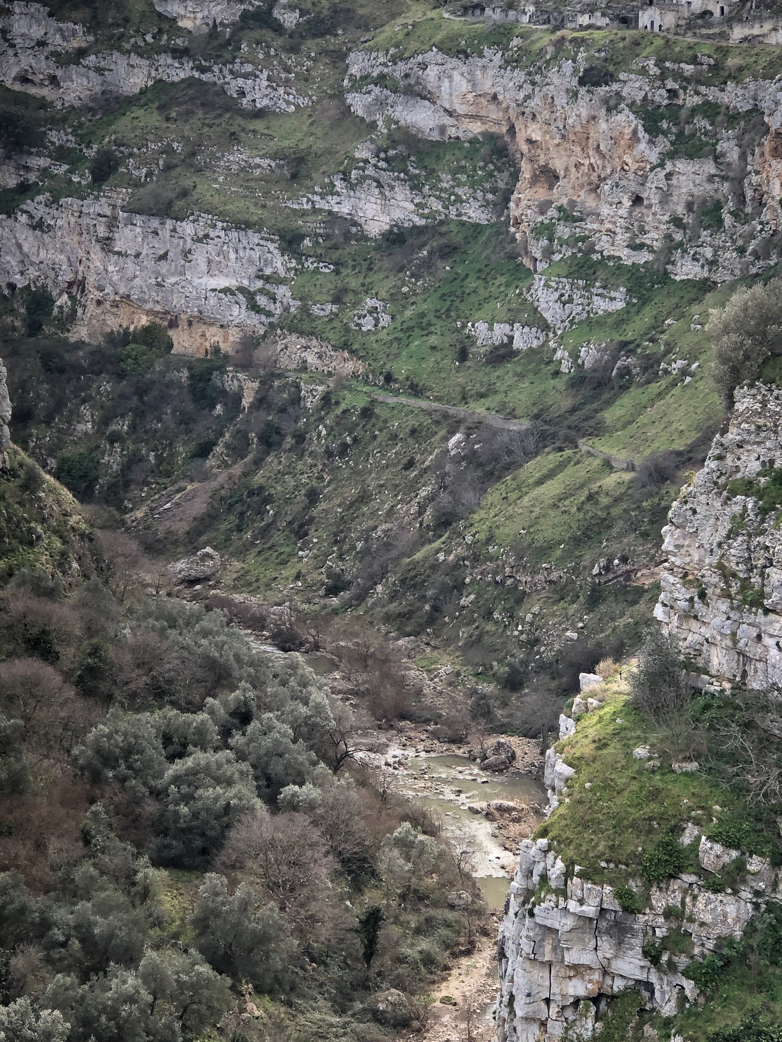 20190214_113518205_iOS.jpg