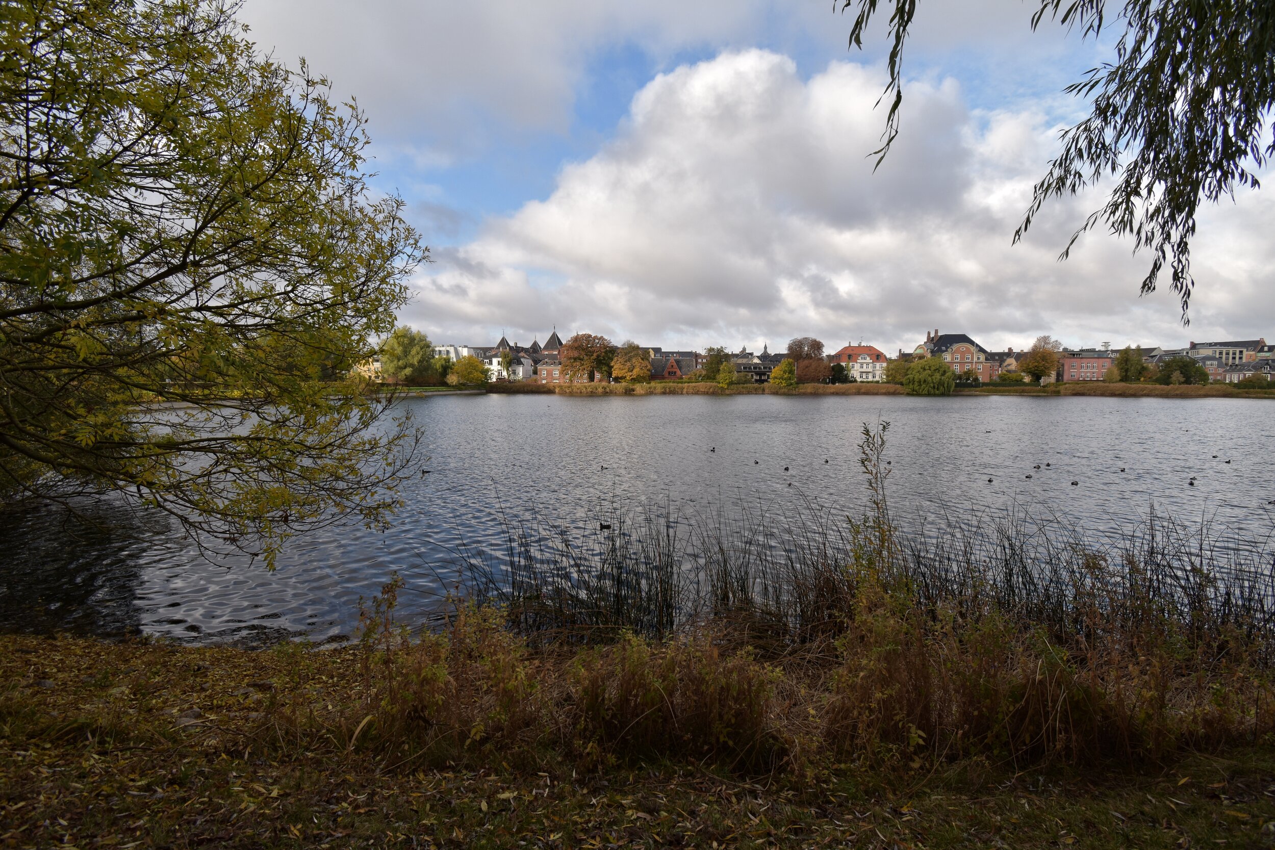 DSC_4829.jpg