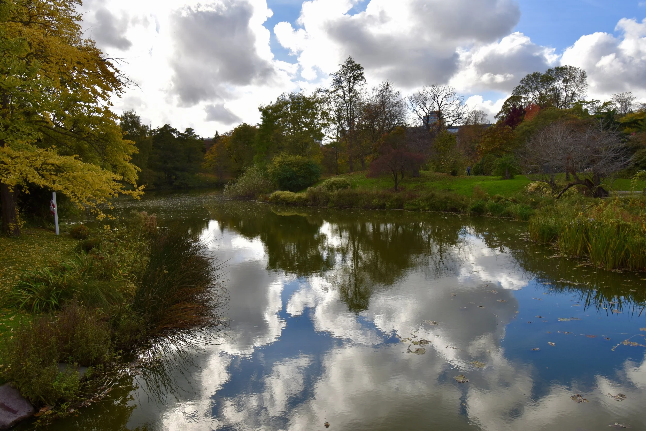 DSC_5022.jpg
