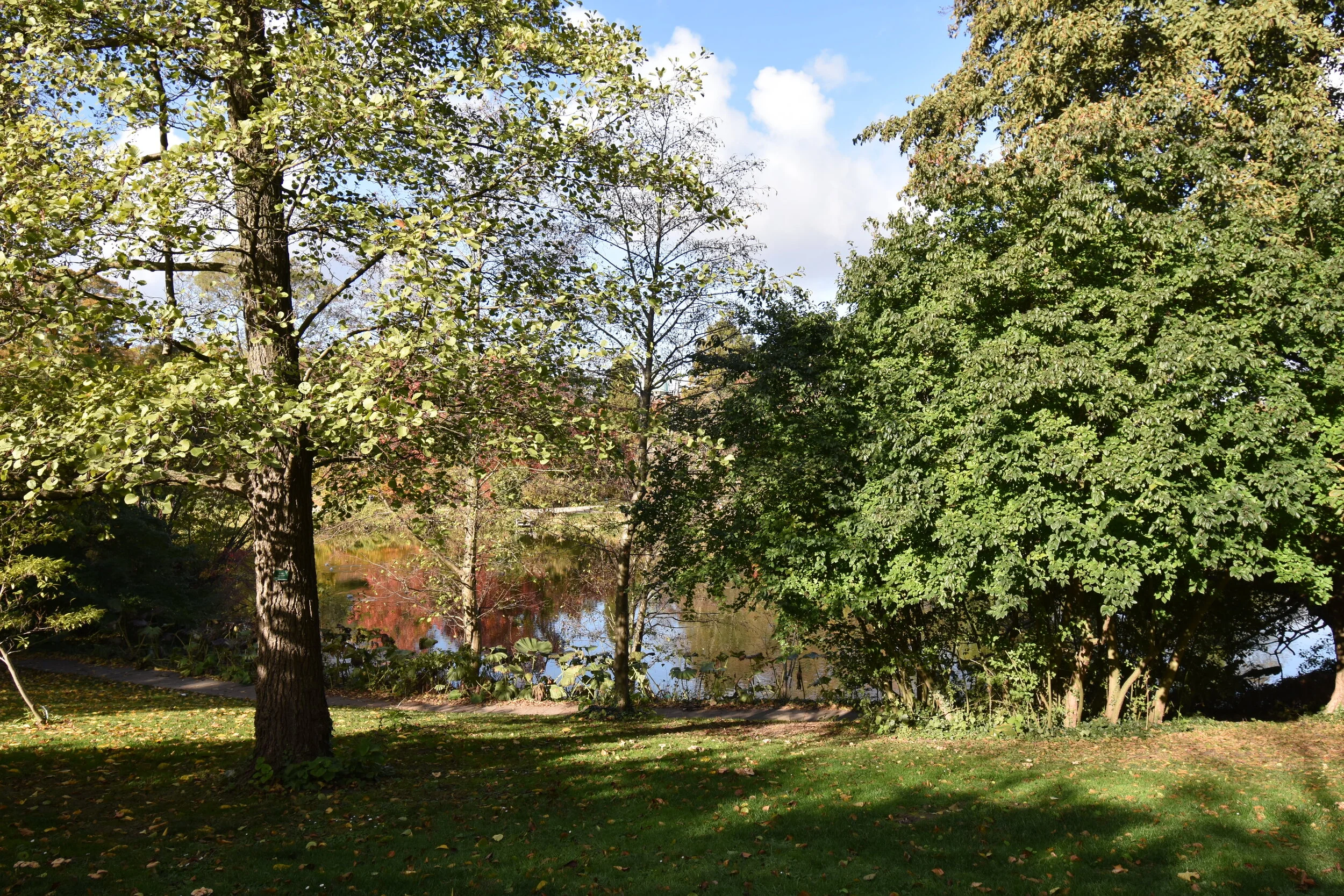 DSC_5012.JPG
