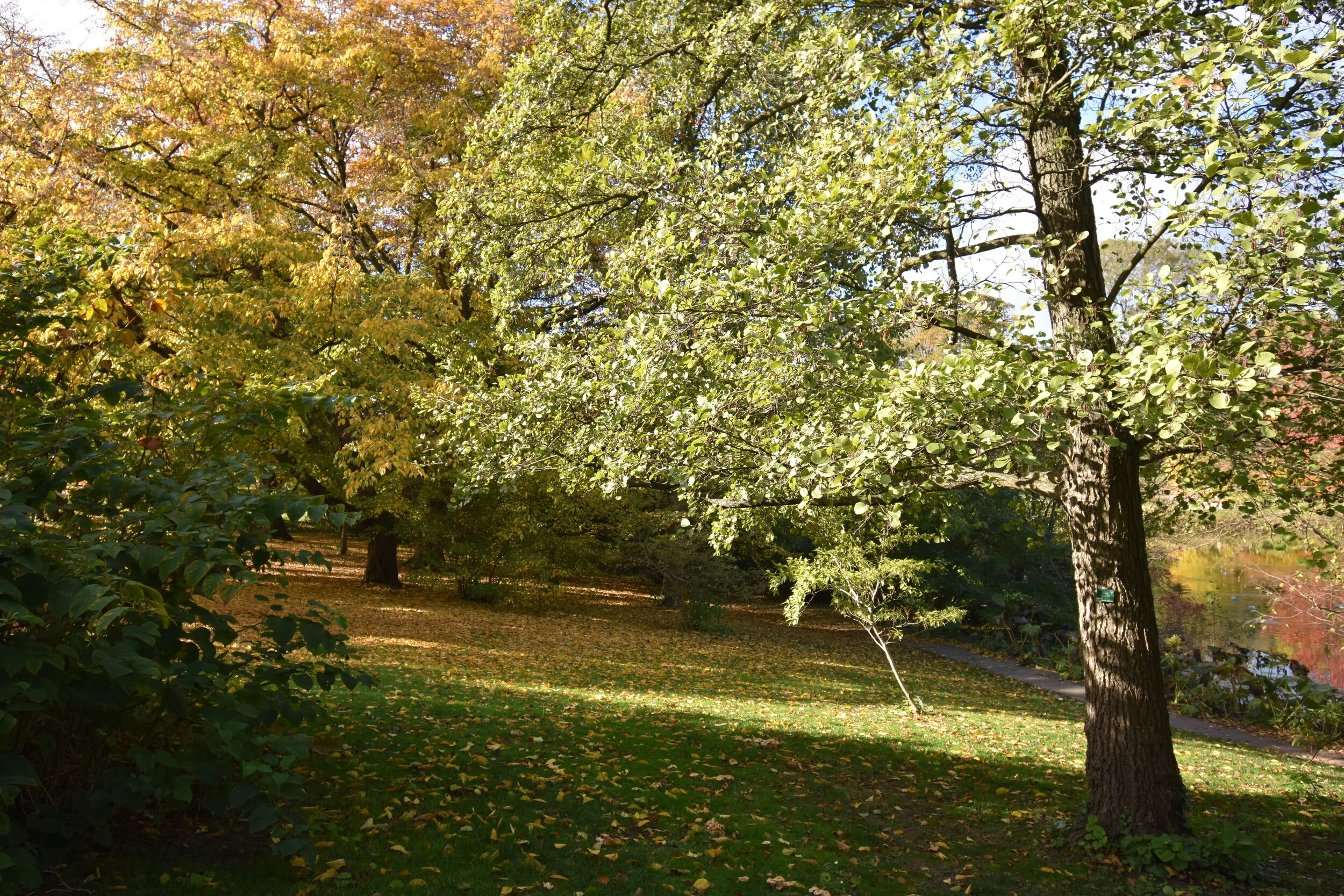 DSC_5013.JPG