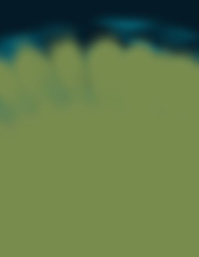 IMG_7176.PNG