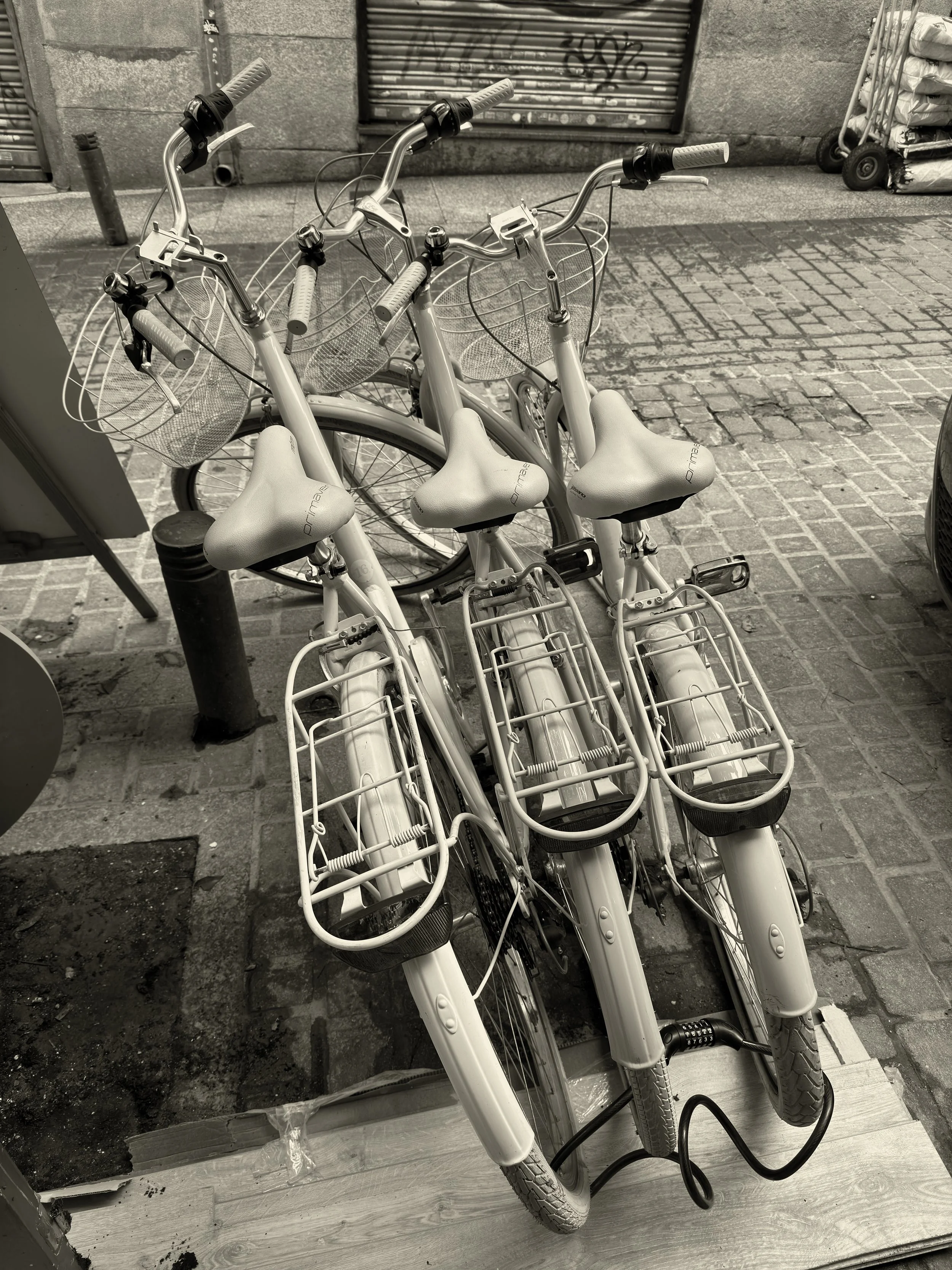 Bicicletas, Madrid-Cortes