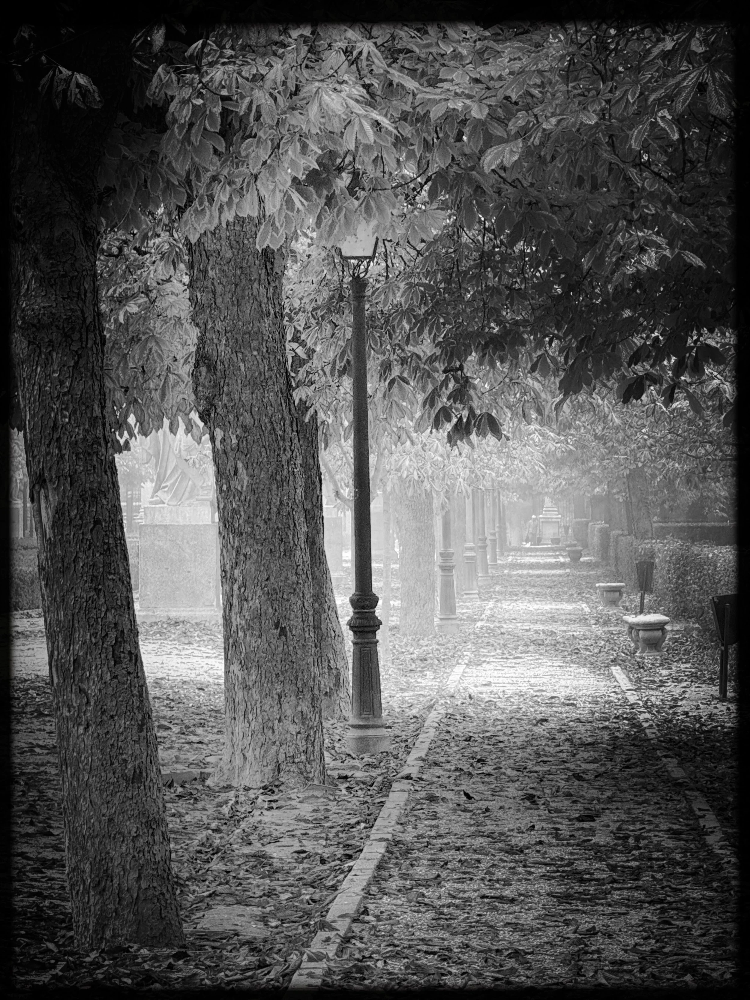 IMG_5469 (1).JPG