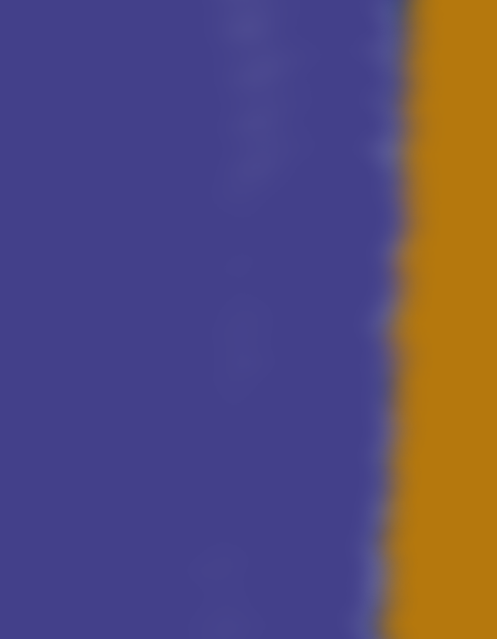 IMG_7194.PNG