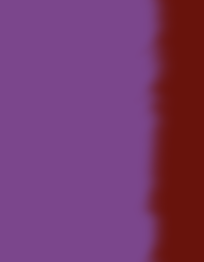 IMG_7211.PNG