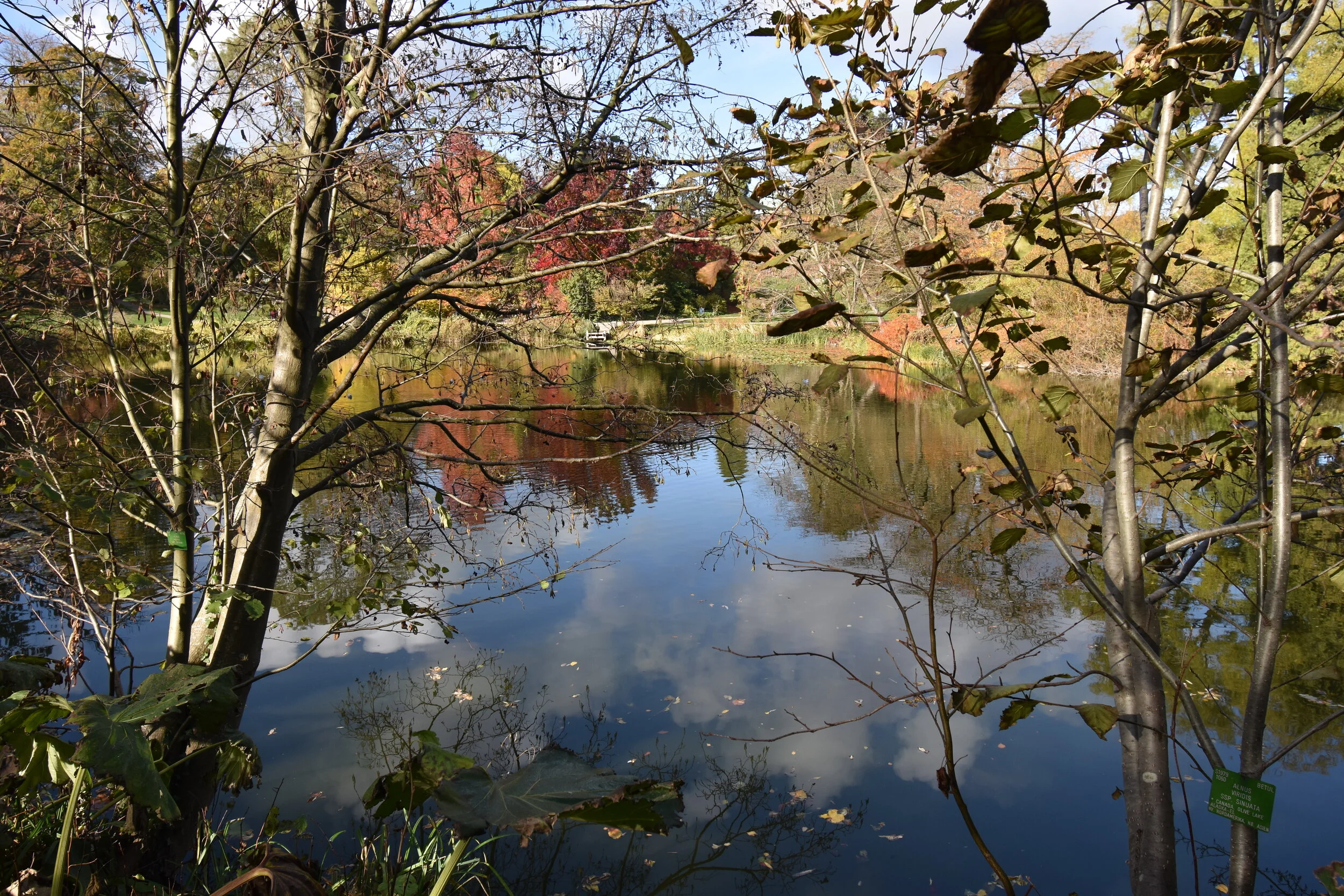 DSC_5015.JPG